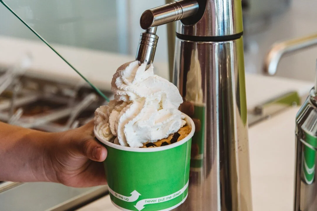 Pomegranate Frozen Yogurt