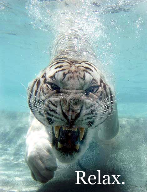 Image Credit: Justin Sullivan, Getty Images