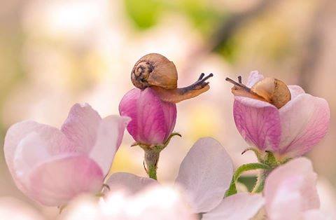 Photo credit: Vyacheslav Mishchenko