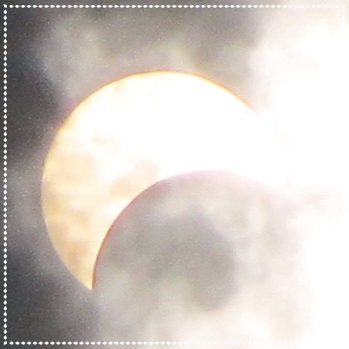 1457491262098b96f3a7673b3f61f26f50692f1d1b6f9-mediumoriginalaspectdouble.jpg