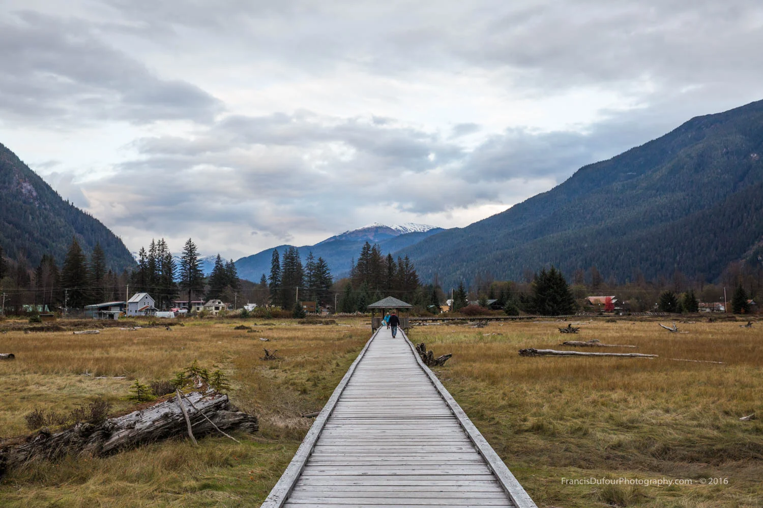 Estuary Boardwalk