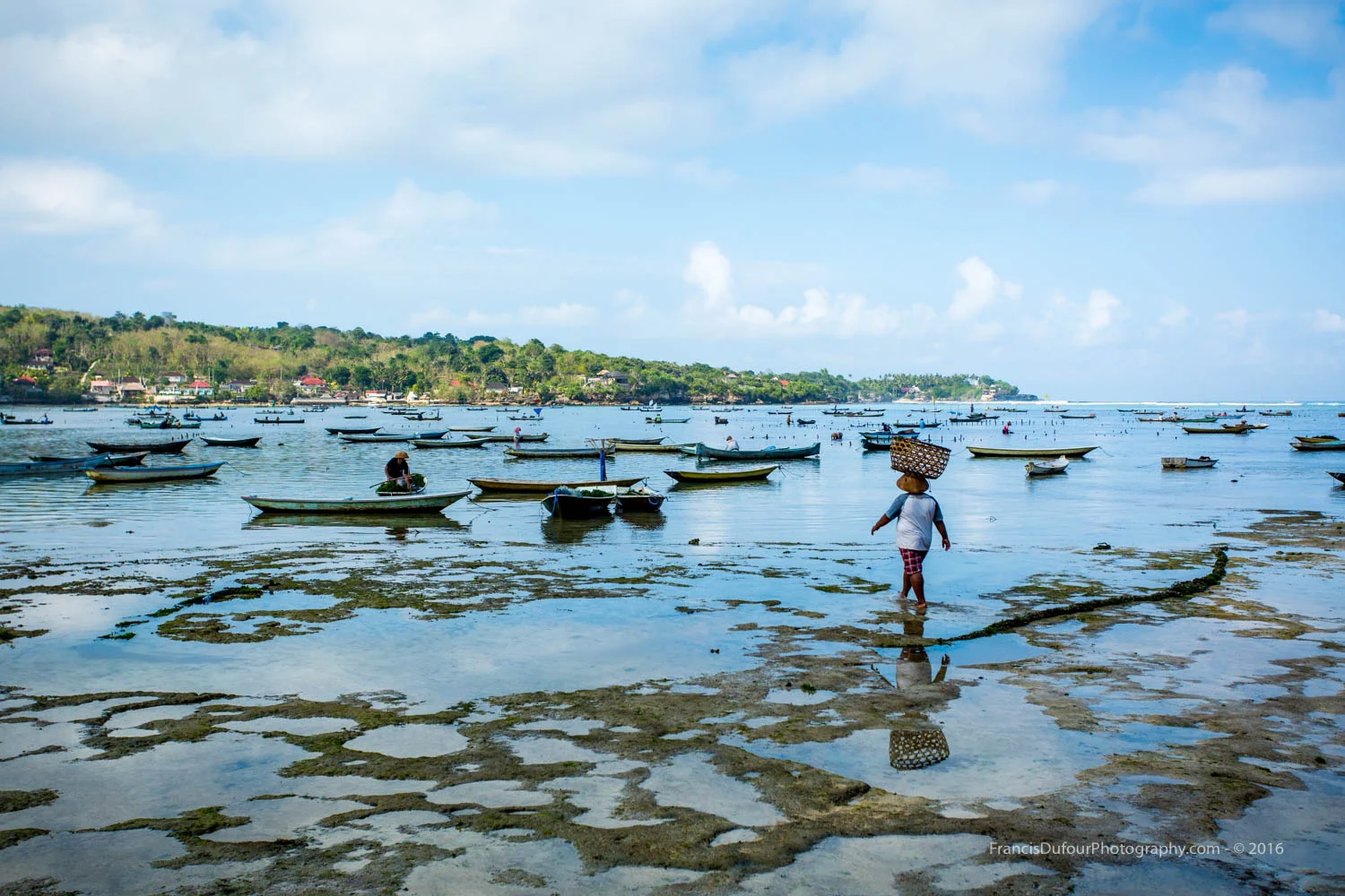 Seaweed Farming