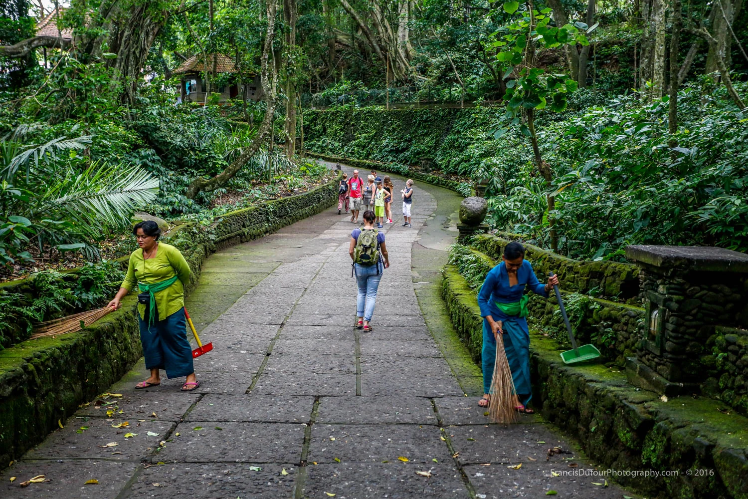 Sacred Monkey Forest Sanctuary