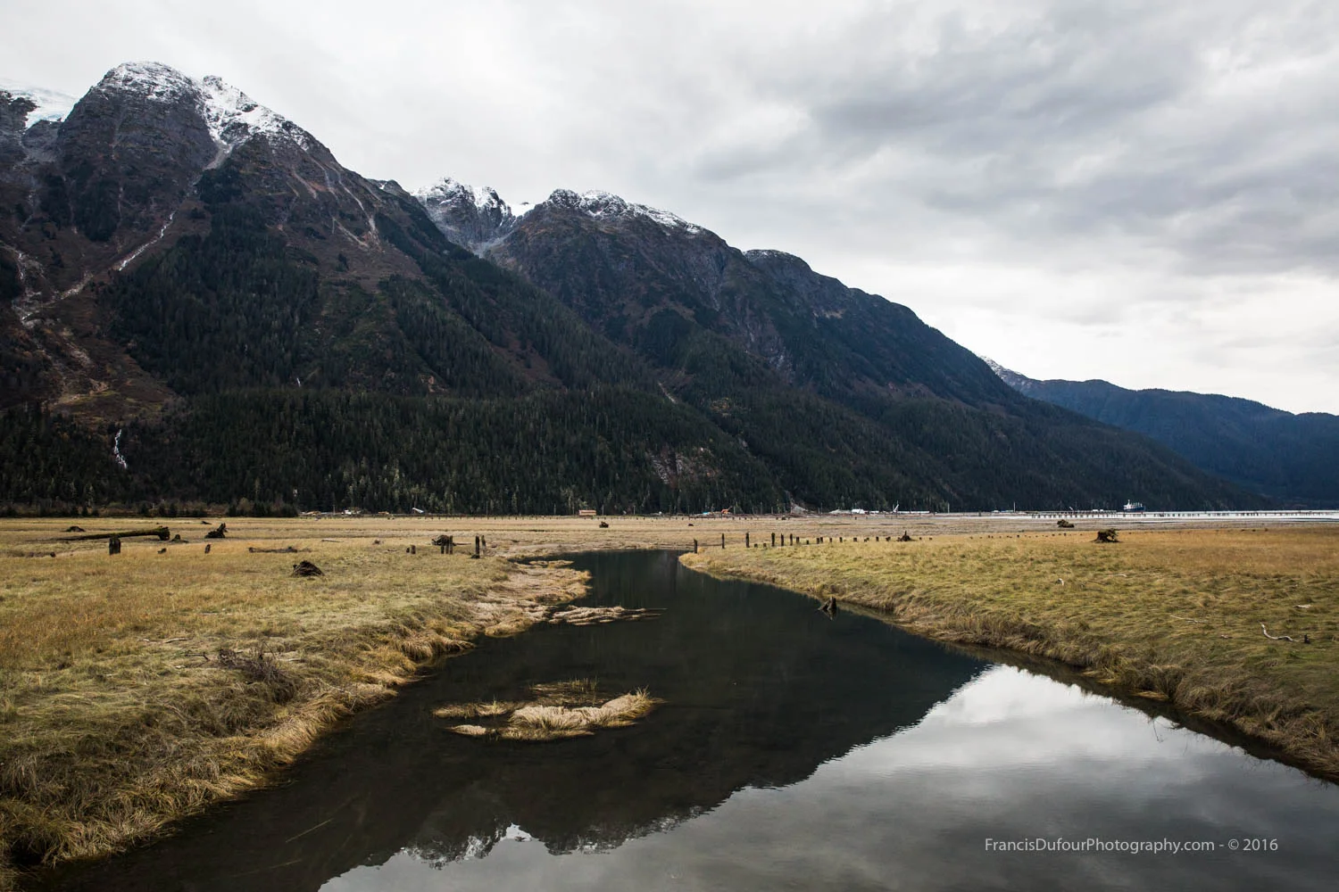 Bear River Estuary