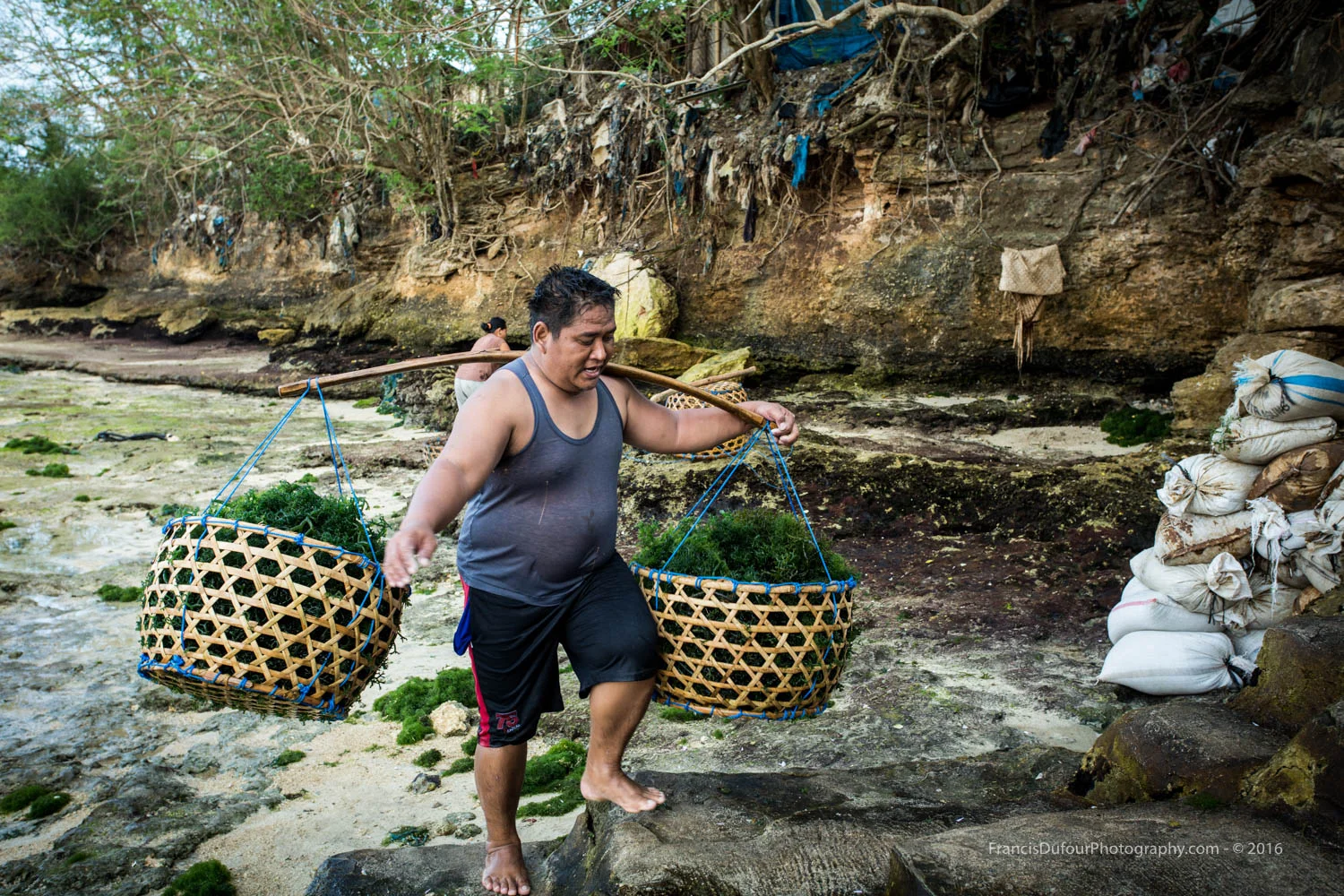 Seaweed Farmer
