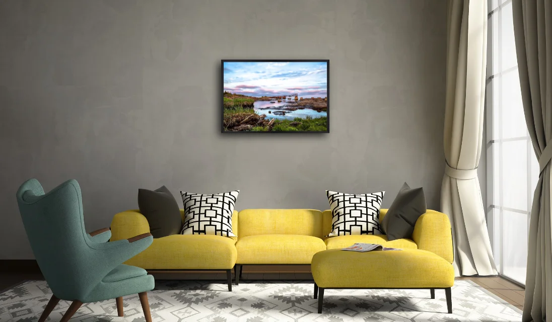 Canvas 20" x 30" + Floating Frame