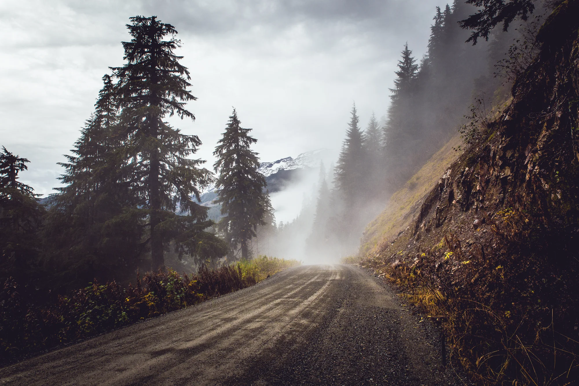 Granduc Forest Road