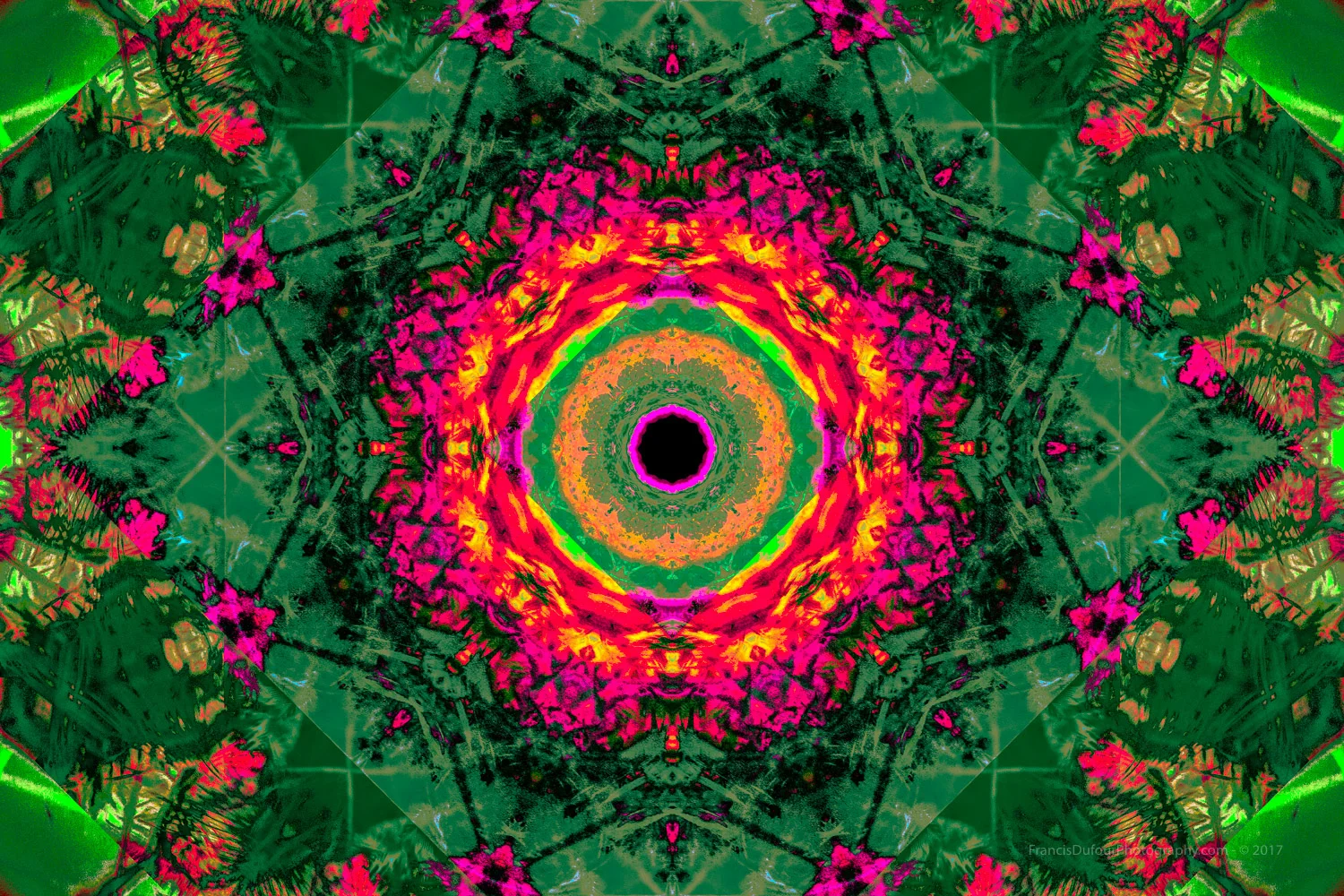 290A1729-2-14.jpg