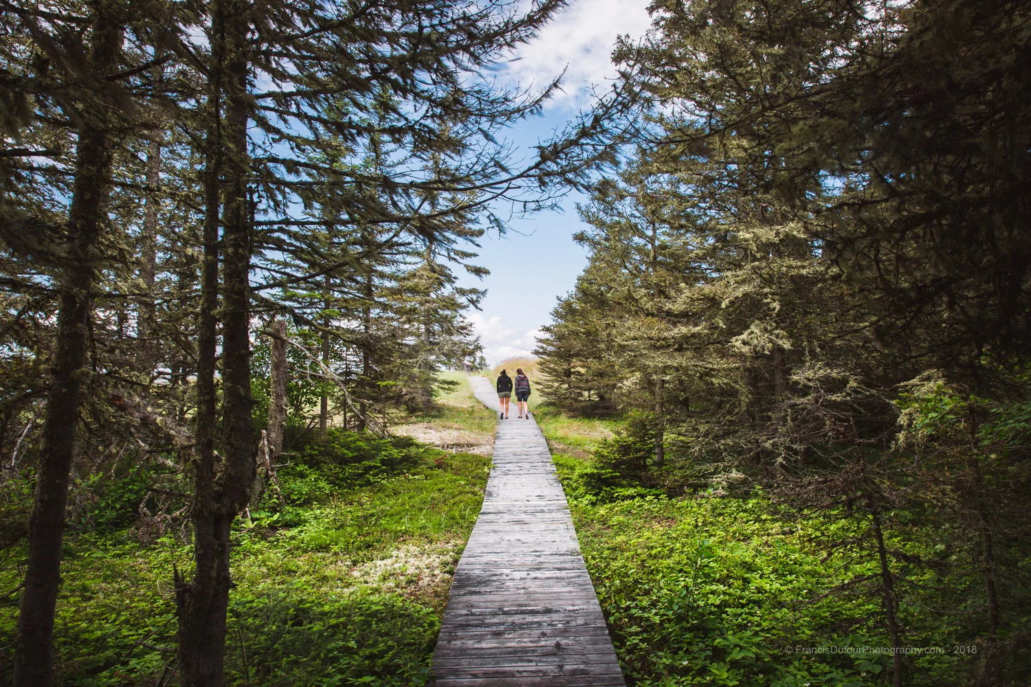 Parc nature de Pointe-aux-Outardes