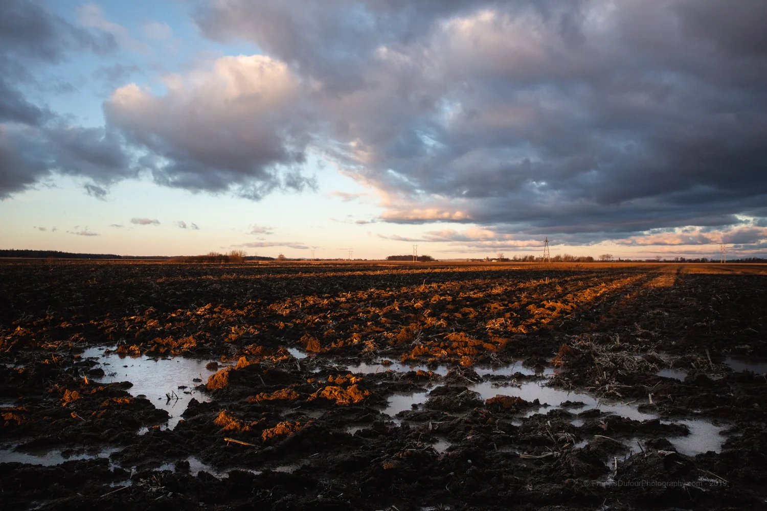 Paysage d'hiver dans le sud du Québec — Winter landscape in southern Quebec (Henryville, Québec, Canada) — © Francisdufour.ca 2019