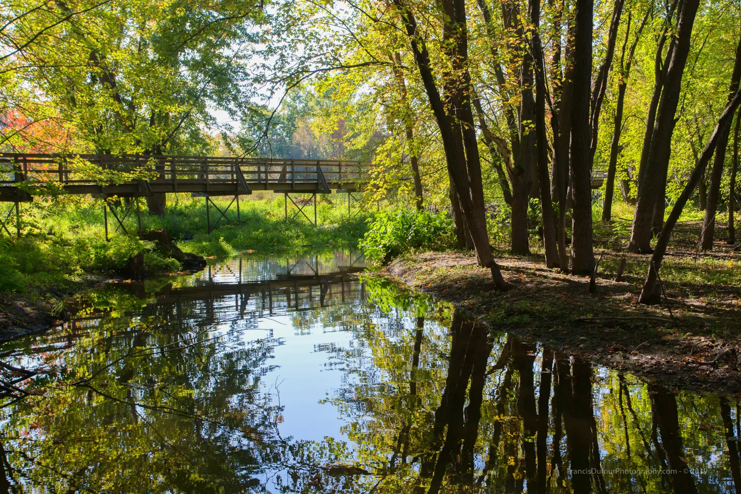 Little creek in Sandy Beach Park (Hudson, Quebec, Canada)