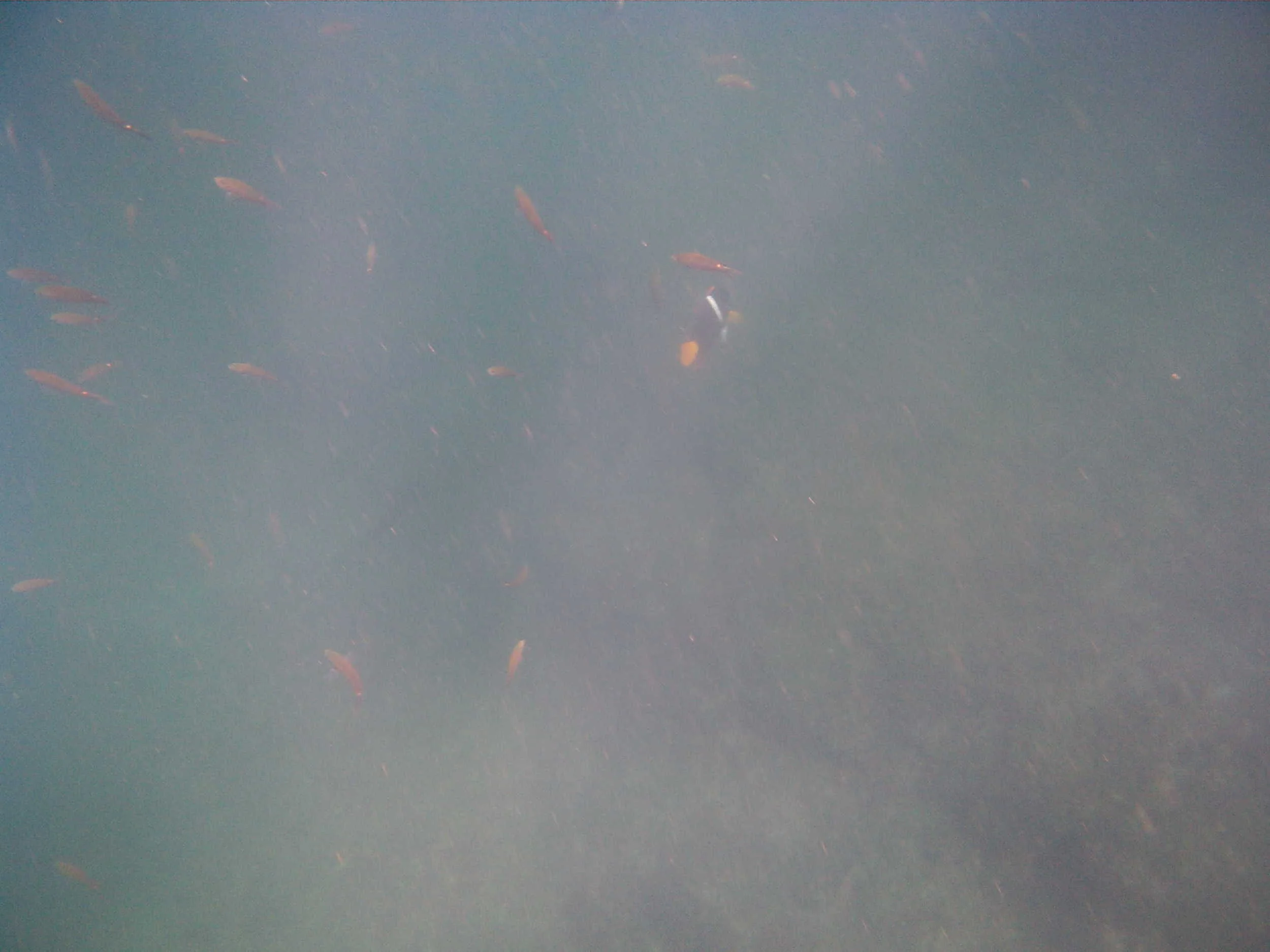 IMG00005.JPG