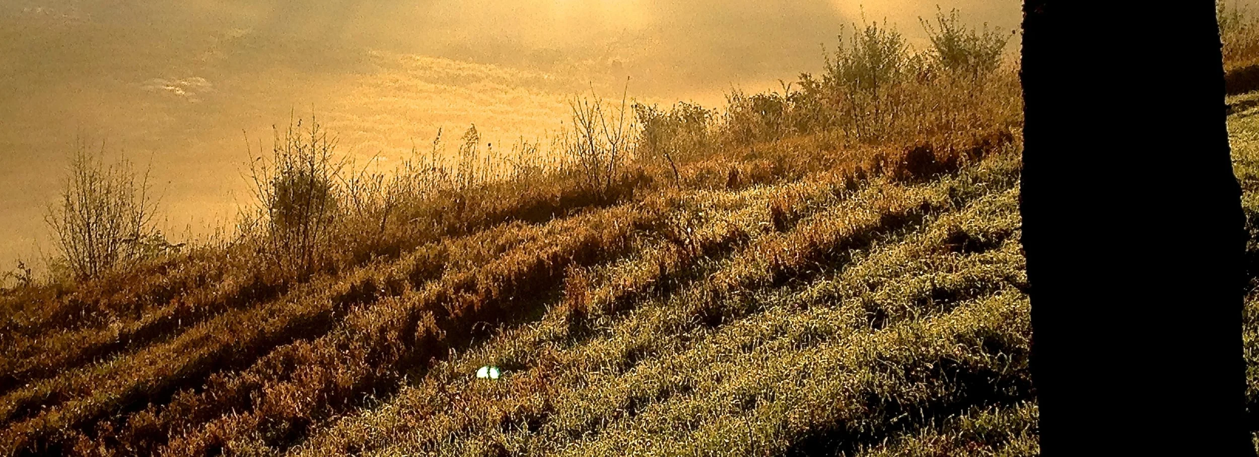 IMG_0870 - Version 2.JPG