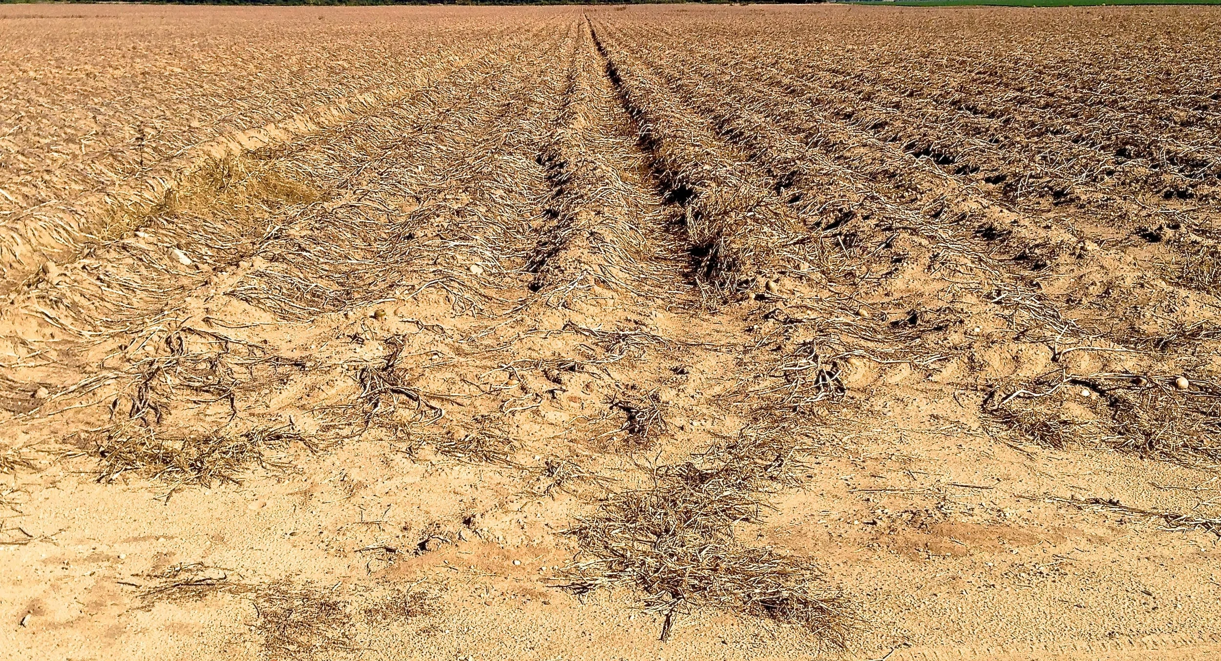 IMG_0885 - Version 3.JPG