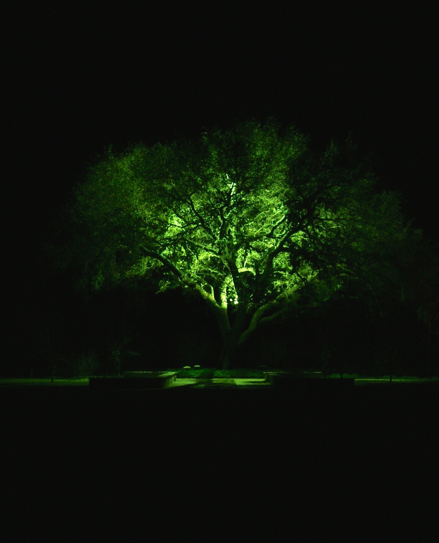 Line Voltage- South Texas Landscape Lighting