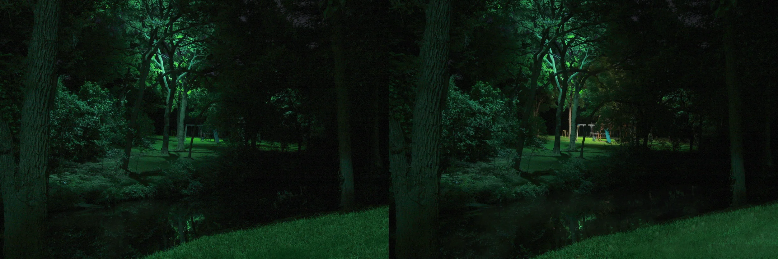 Specialty Landscape Lighting