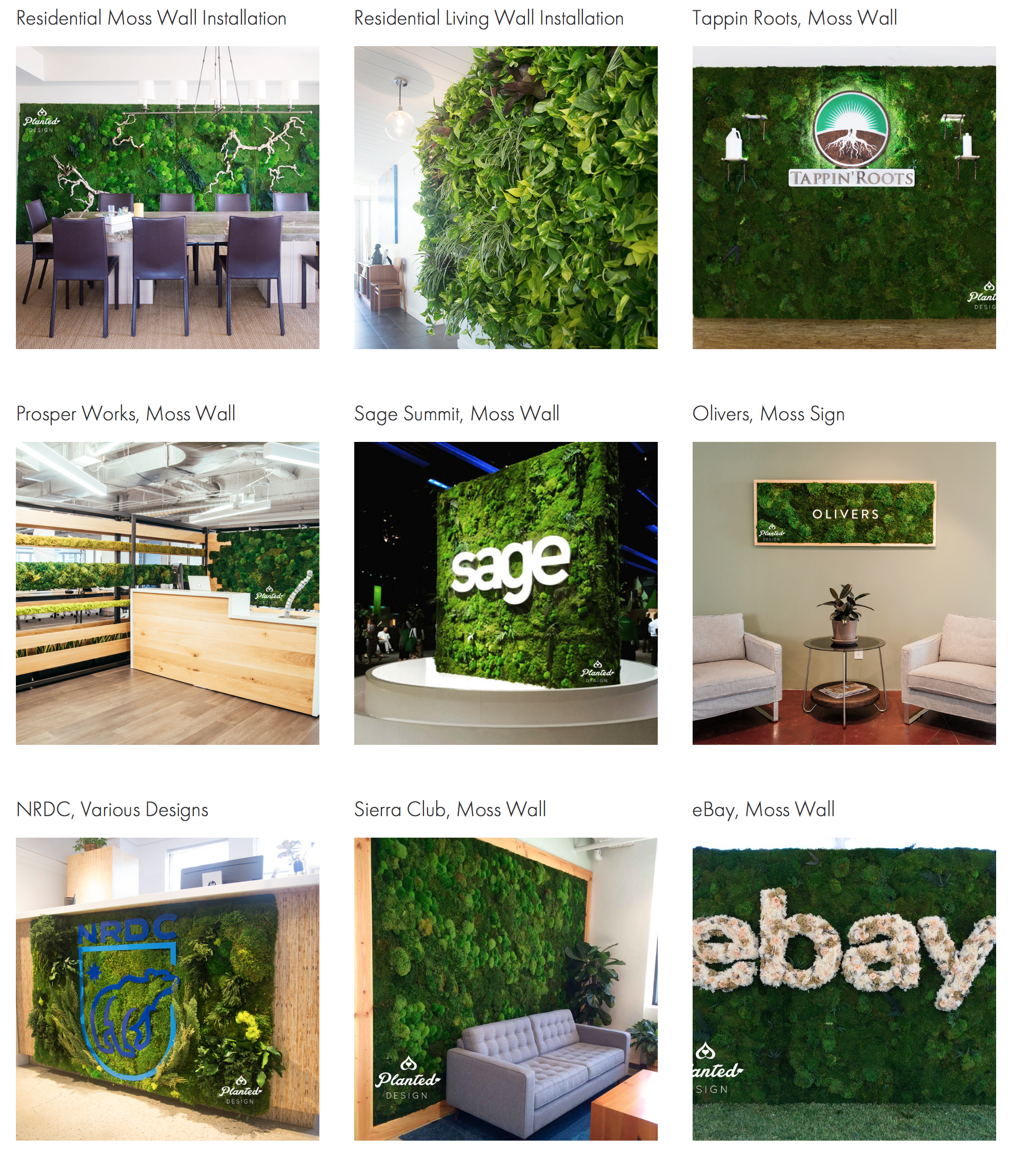 Planted Design is a full service firm that is focused on creating beautiful, functional, and sustainable designs.