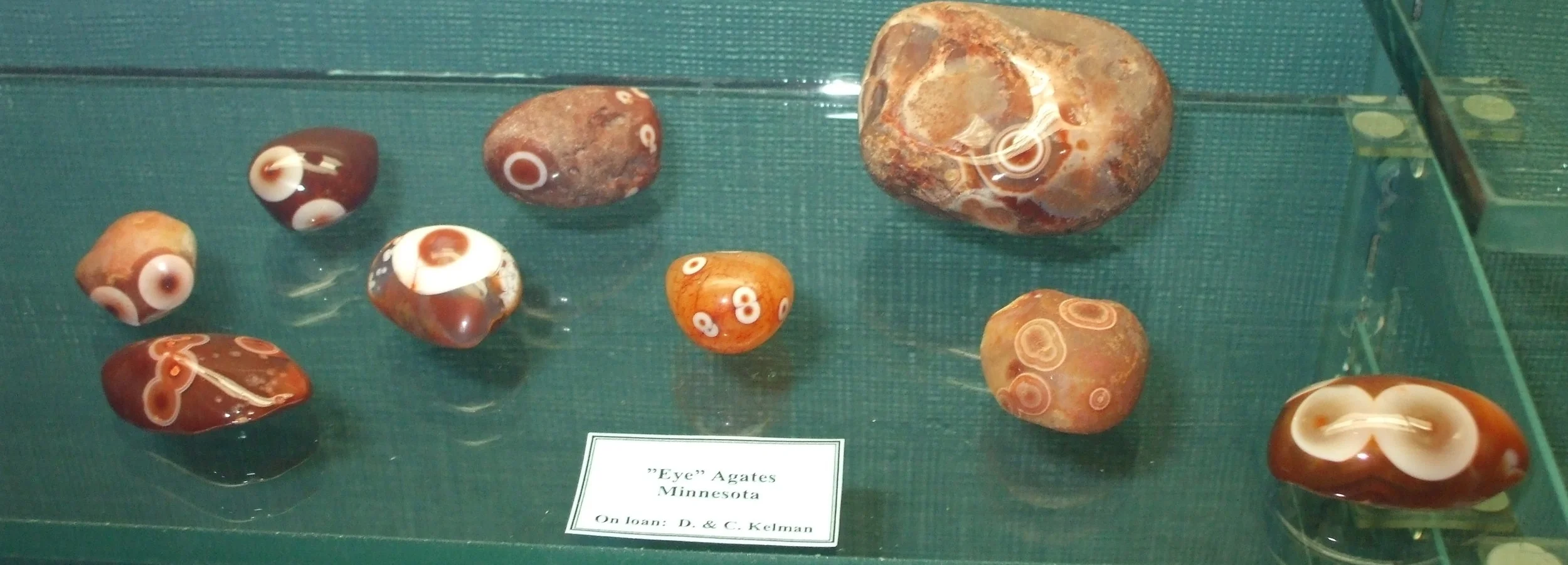 DSCF0913.JPG