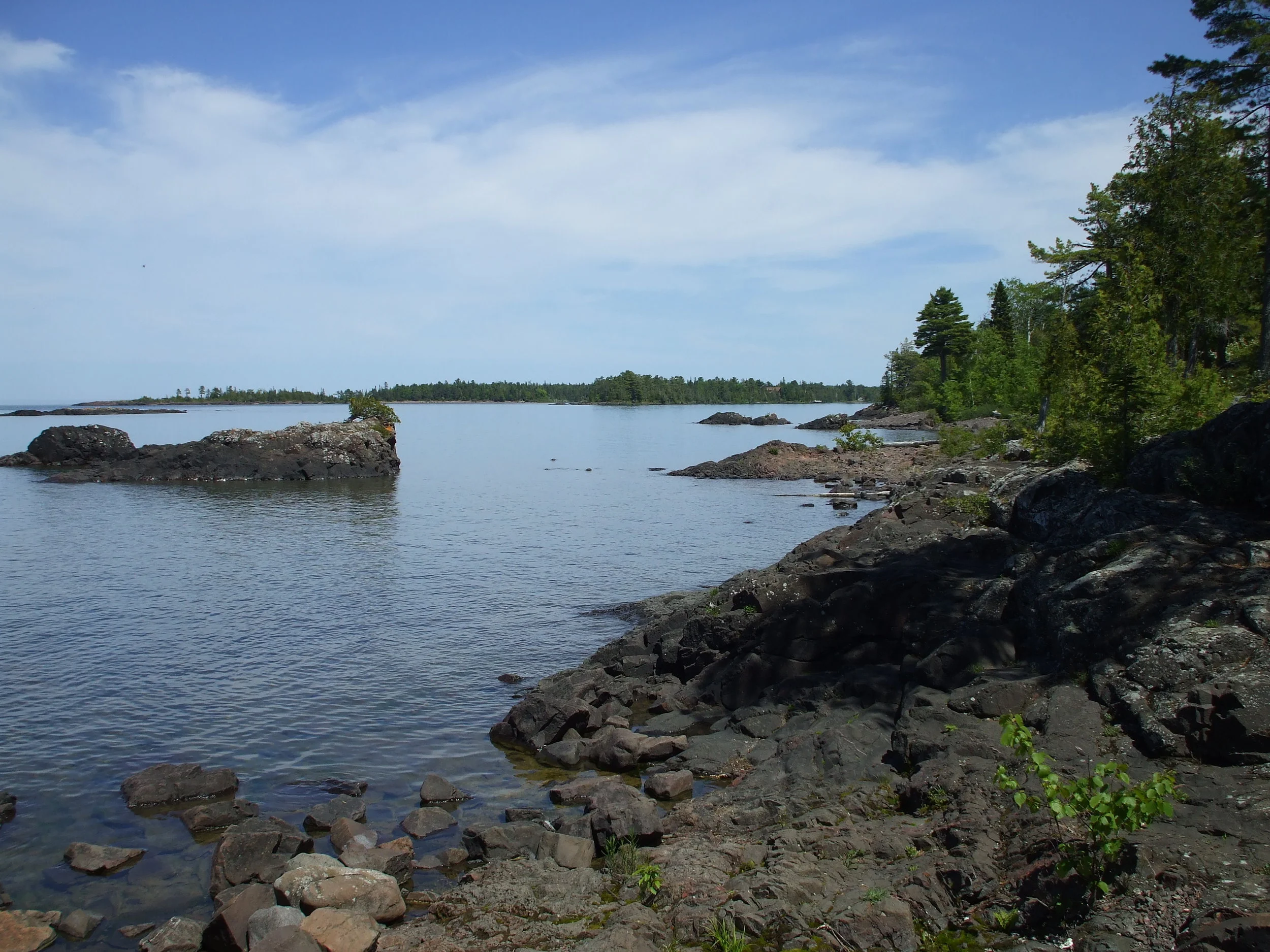 DSCF0663 2.JPG