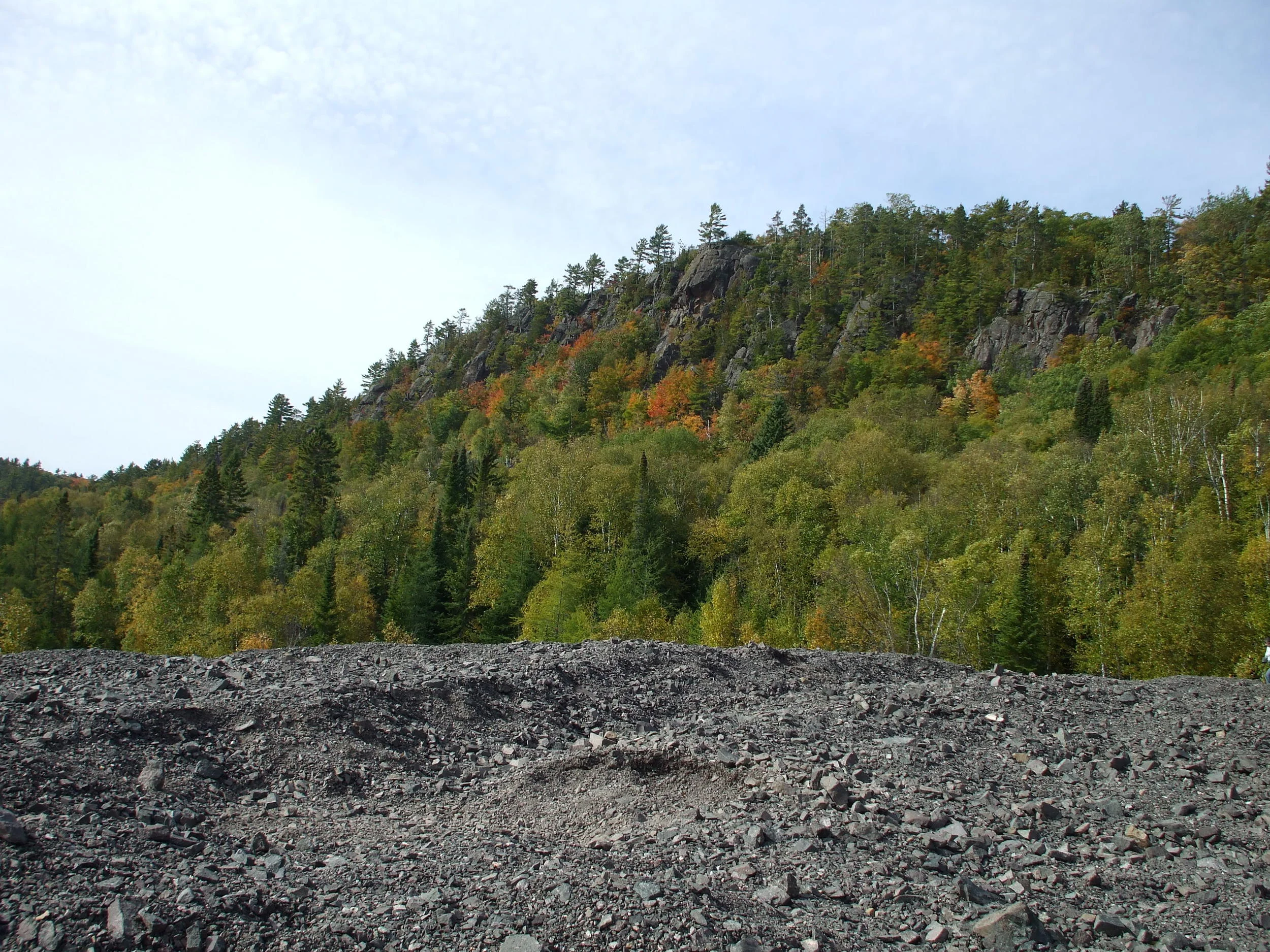 DSCF0683 2.JPG
