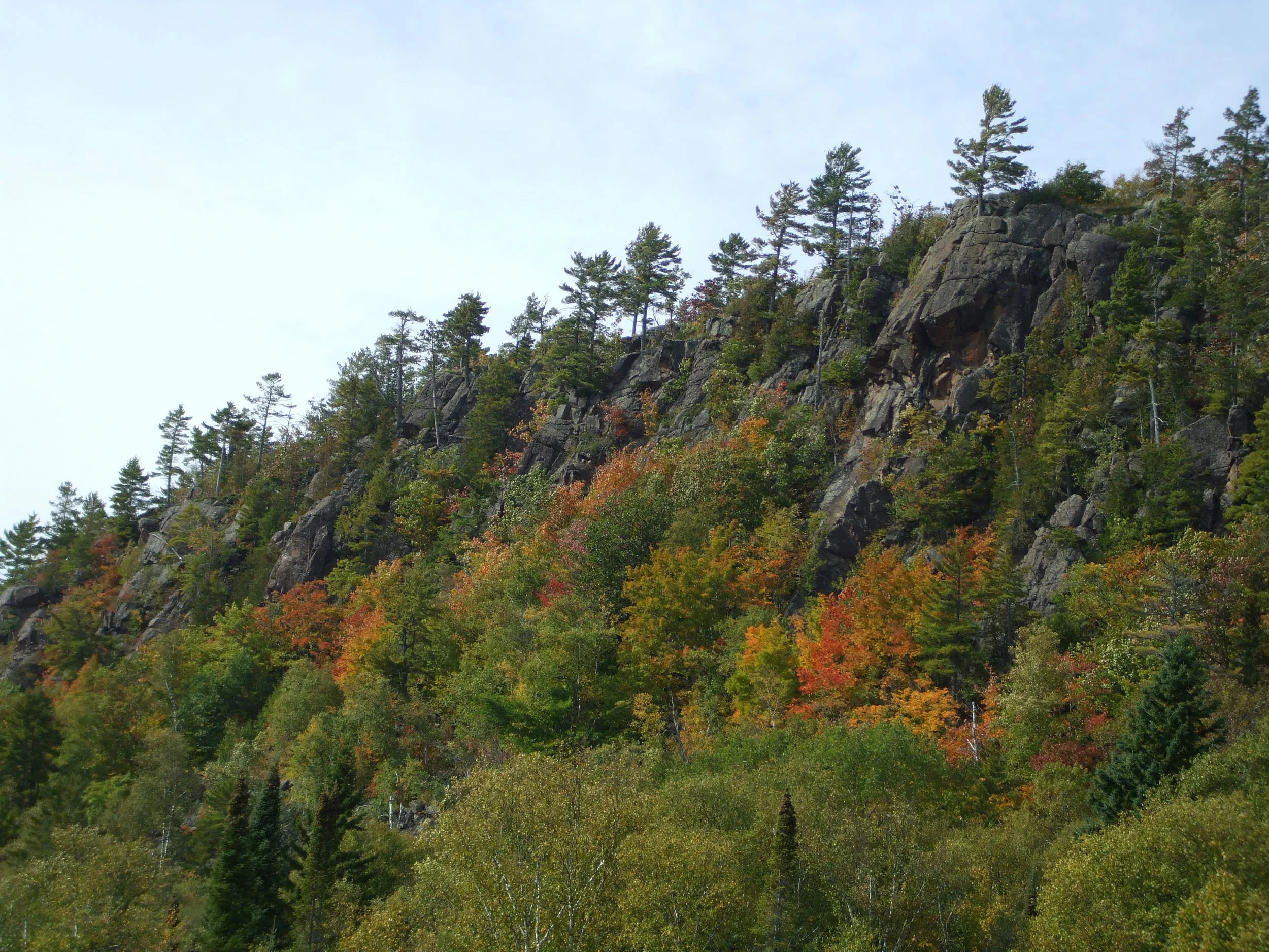 DSCF0684 2.JPG