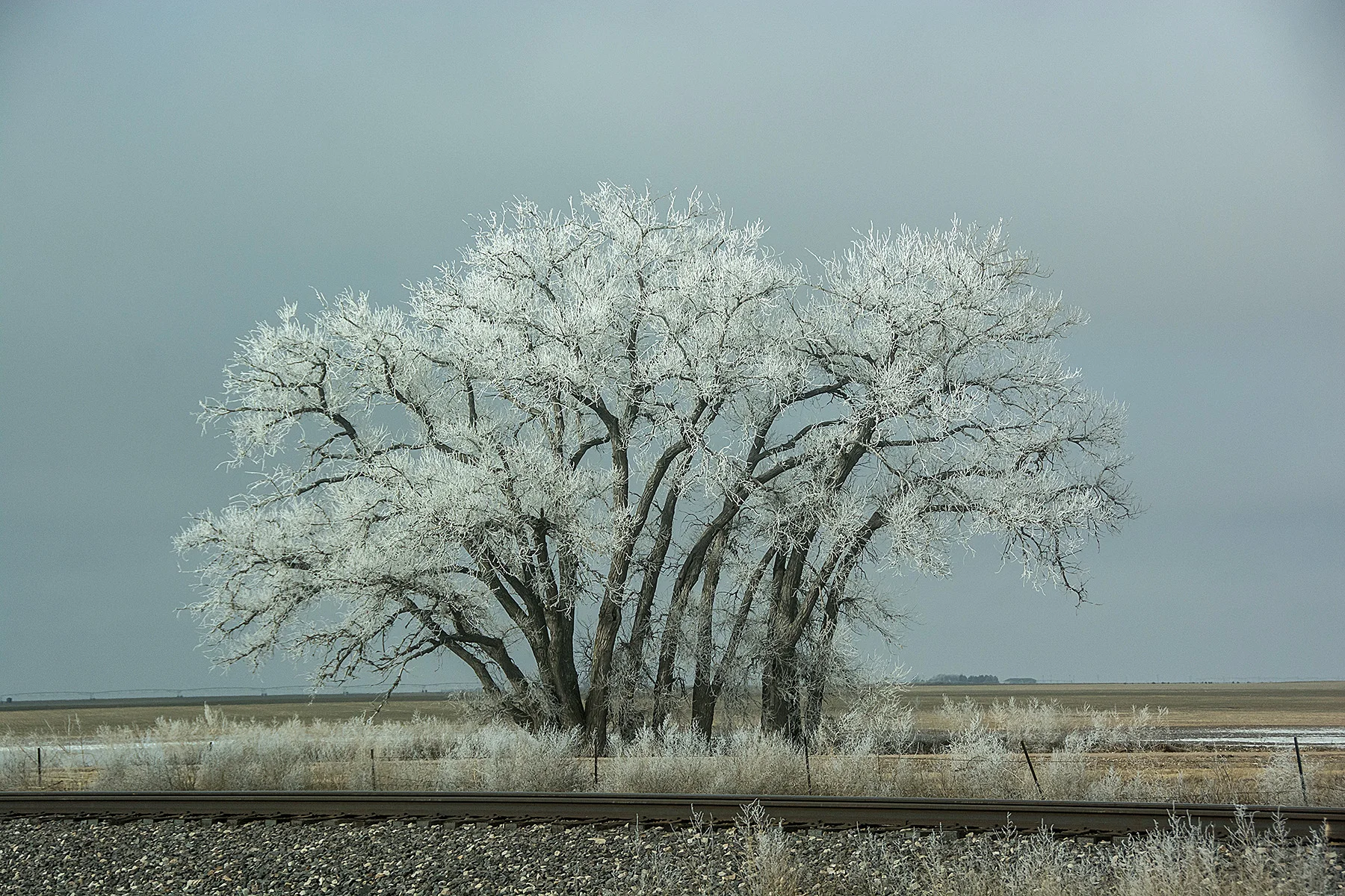 DSC_7334.jpg