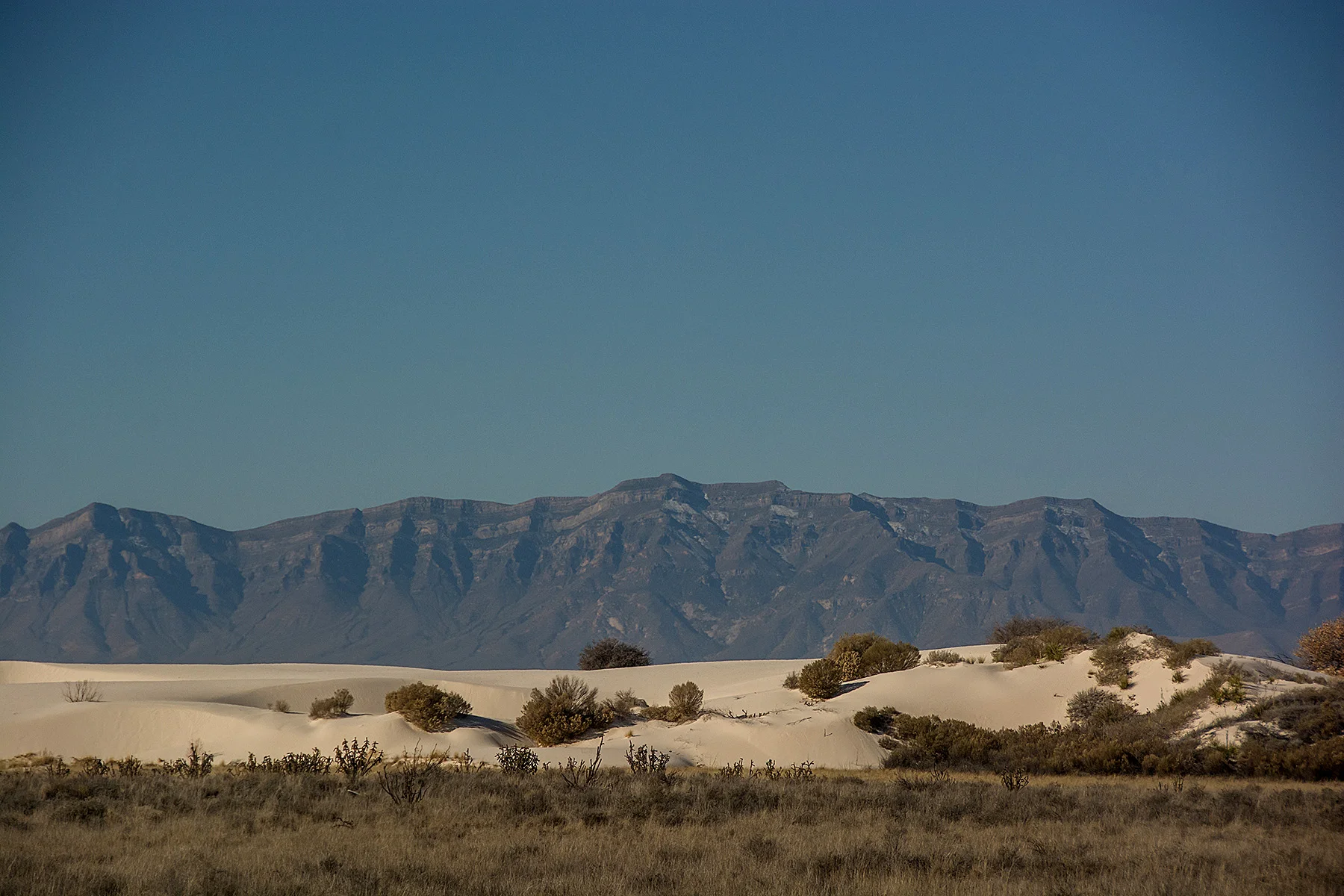 DSC_7361.jpg