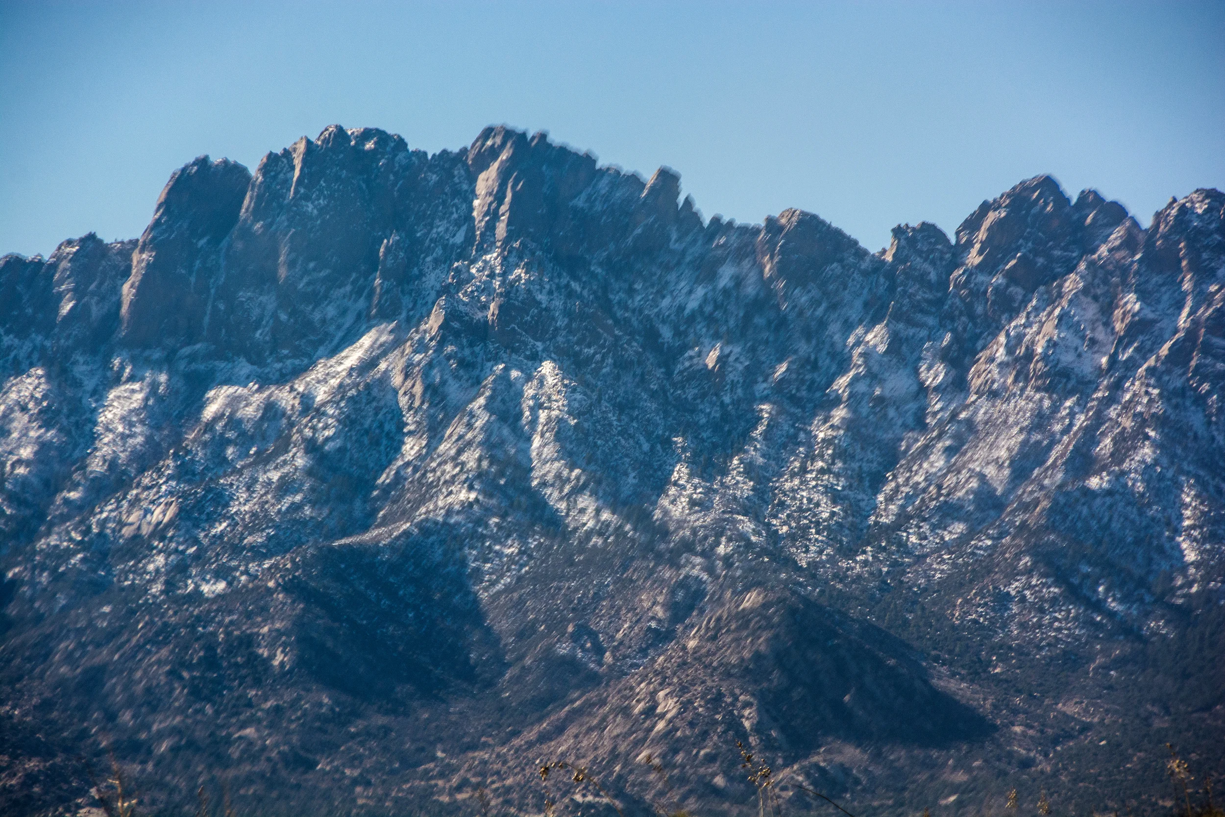 DSC_7382.jpg