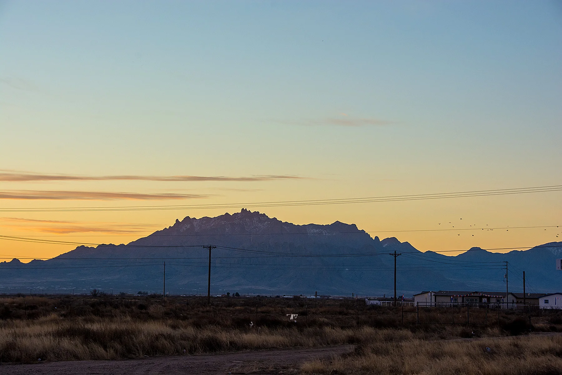 DSC_7398.jpg