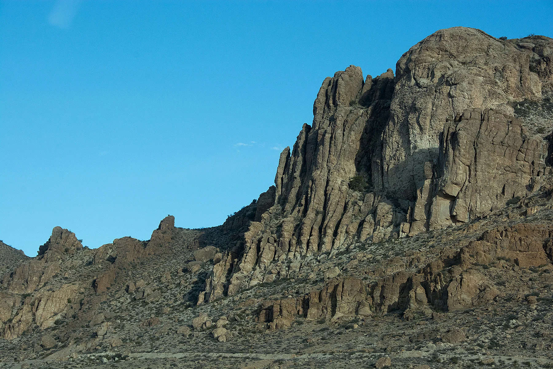 DSC_7409.jpg