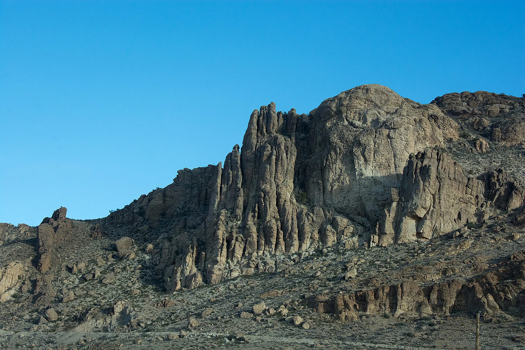 DSC_7410.jpg
