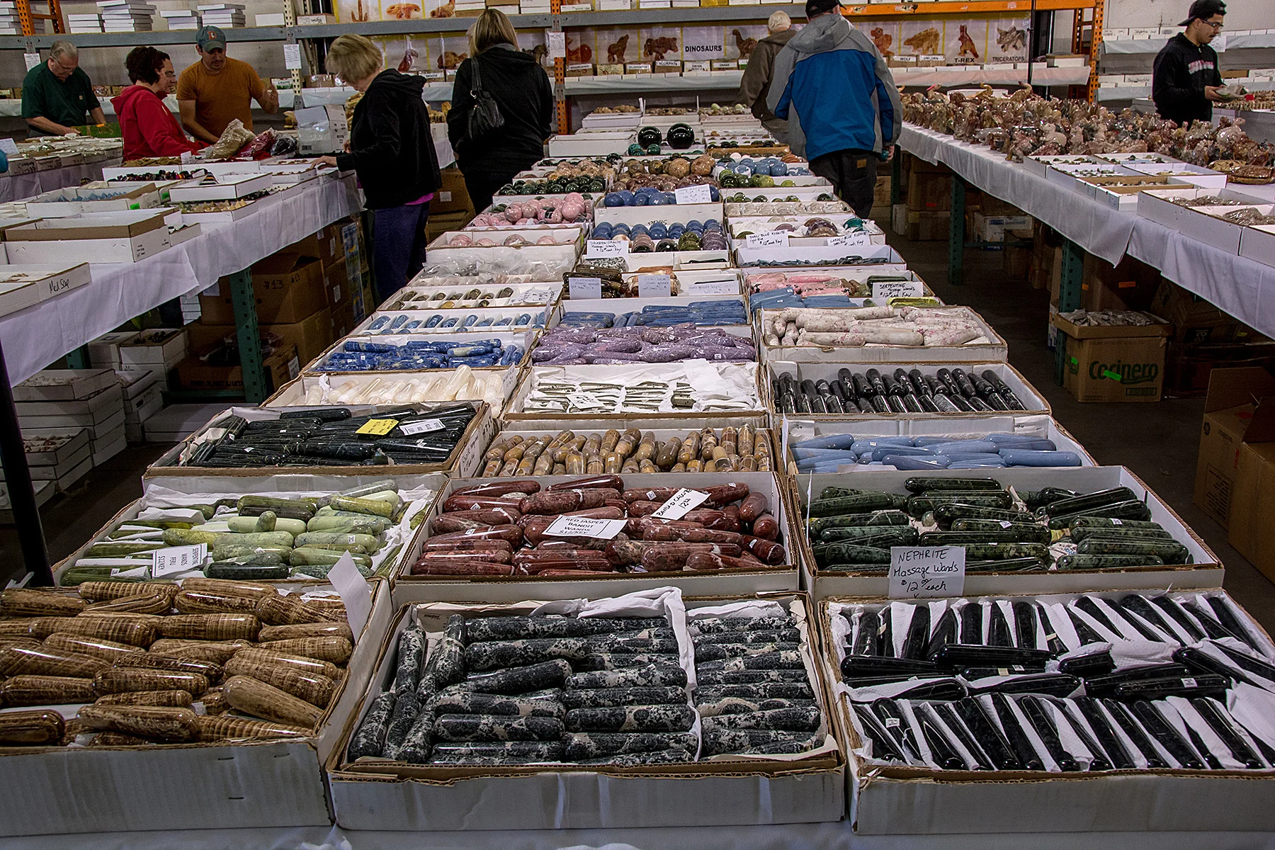 DSC_7444.jpg