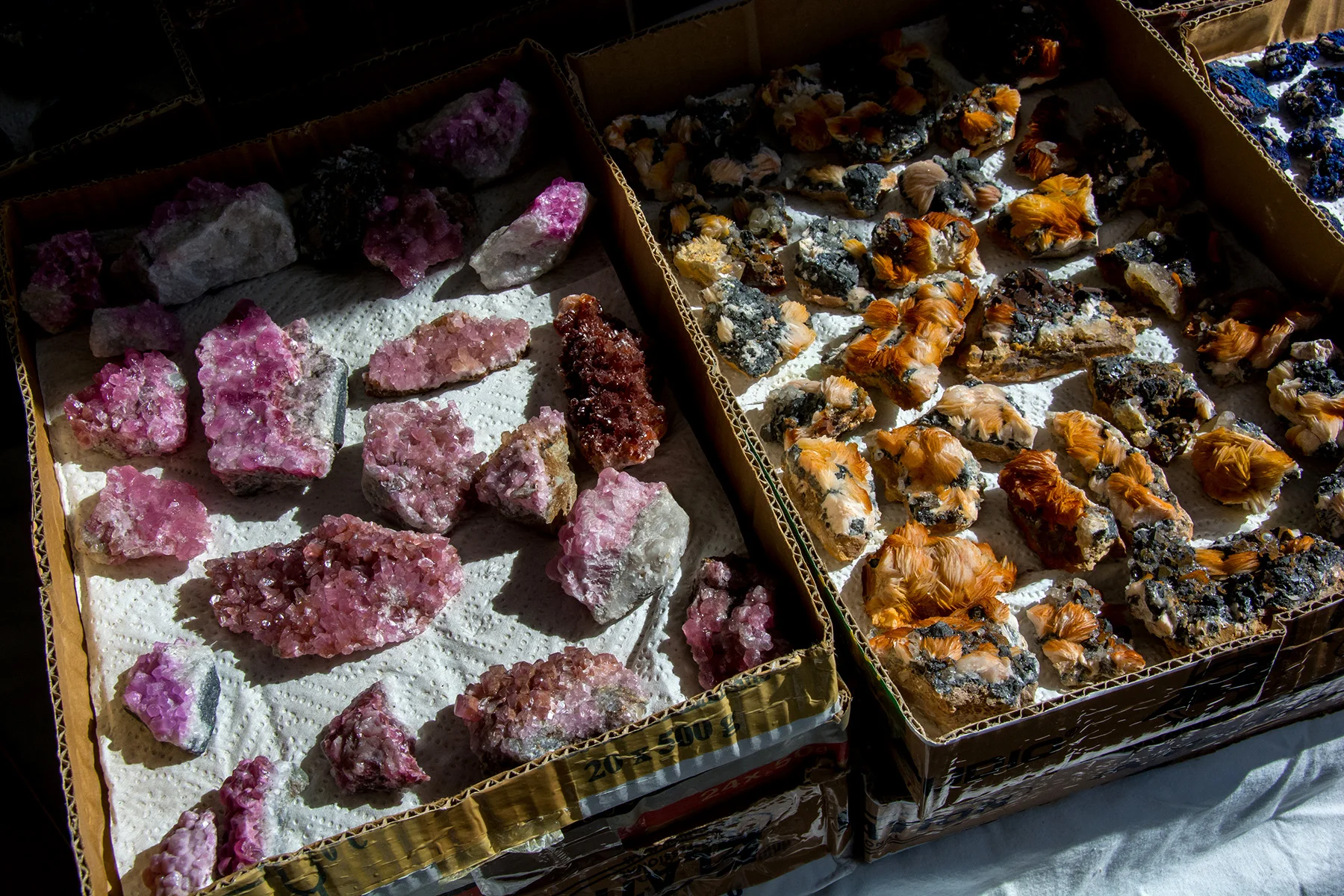 DSC_7475.jpg