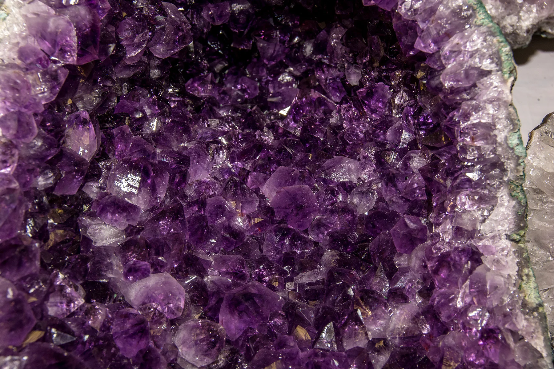 DSC_7496.jpg