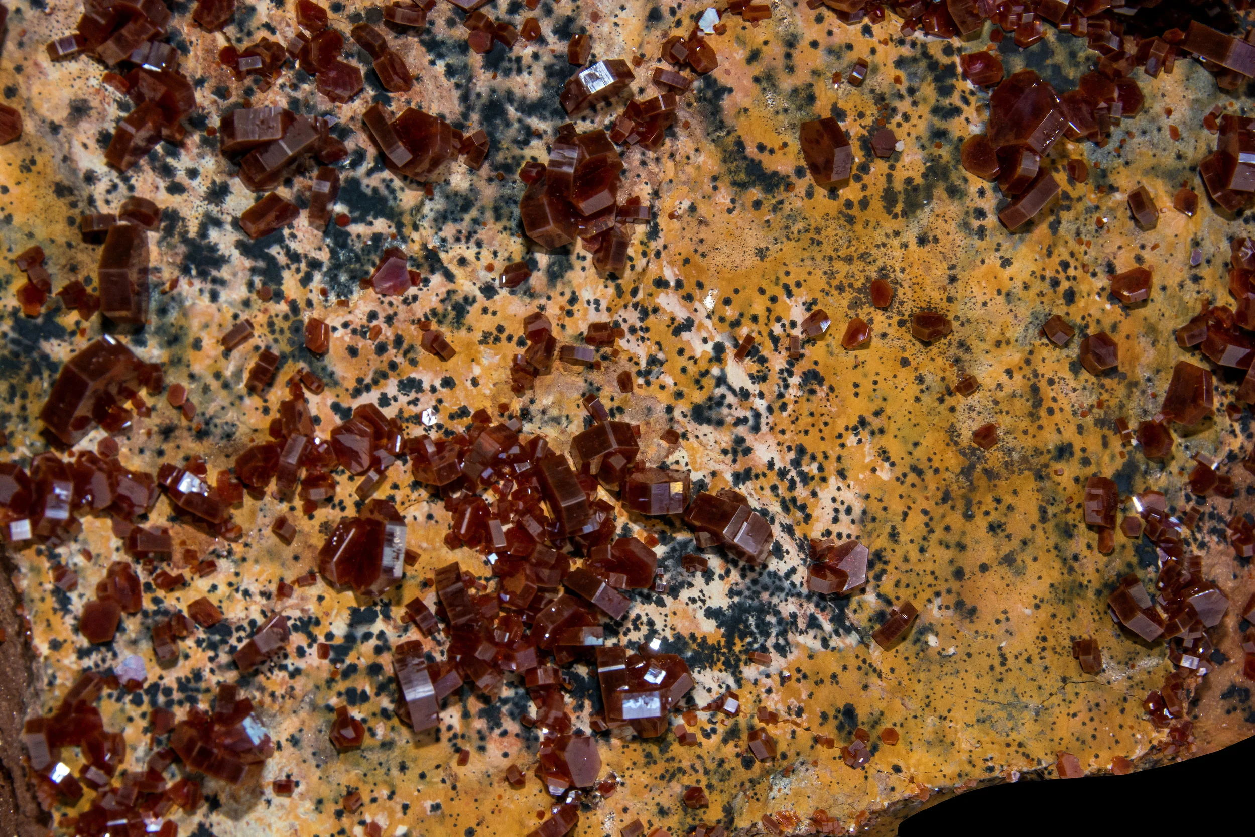 DSC_7525full.jpg