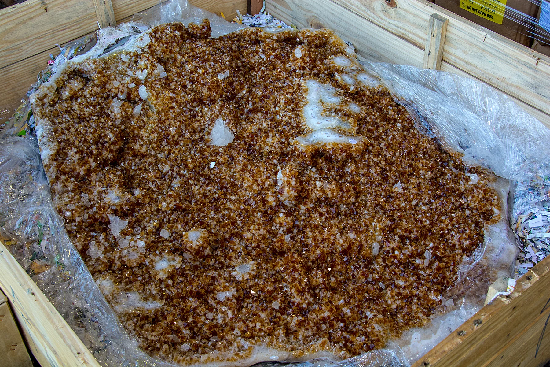 DSC_7587.jpg