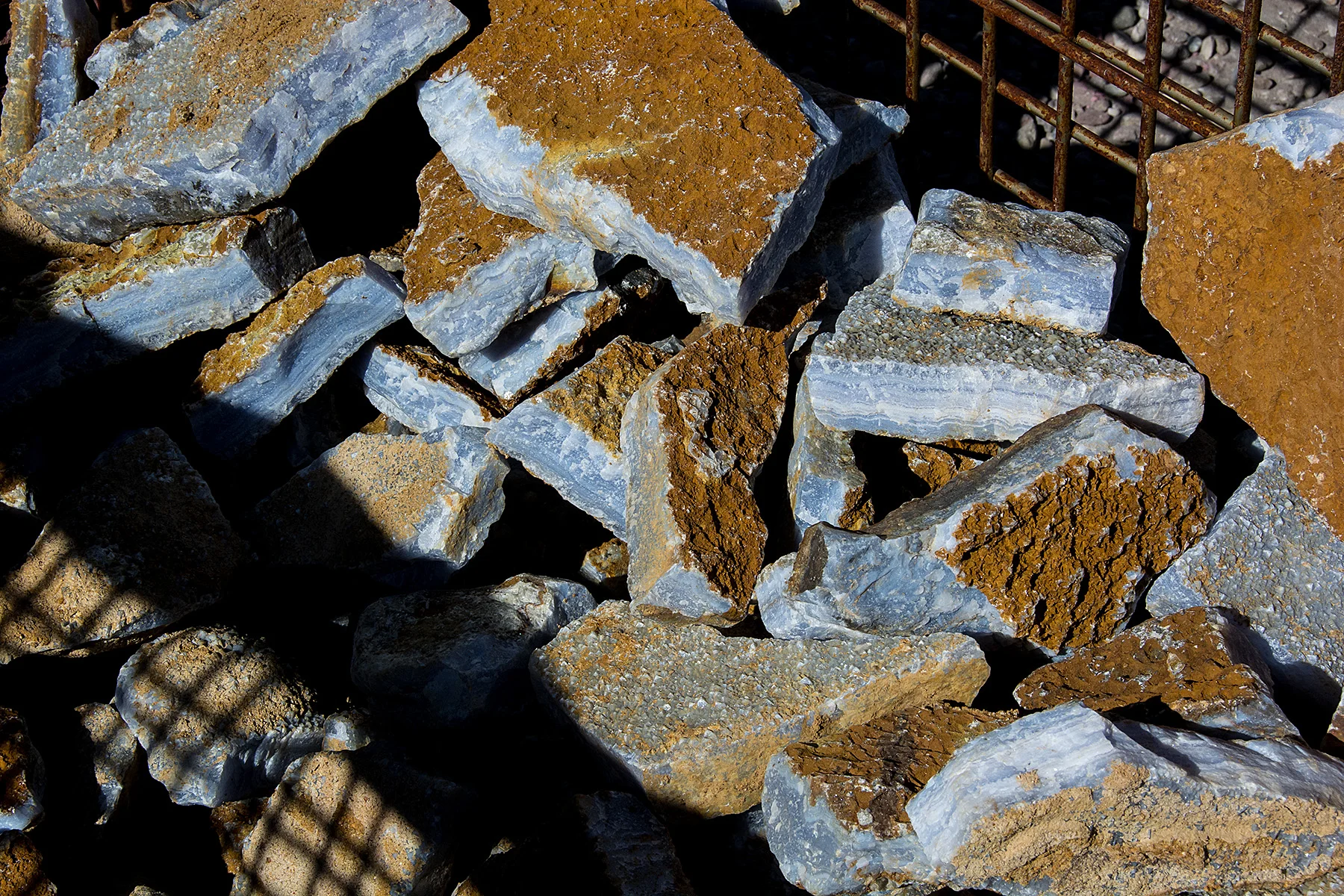 DSC_7597.jpg