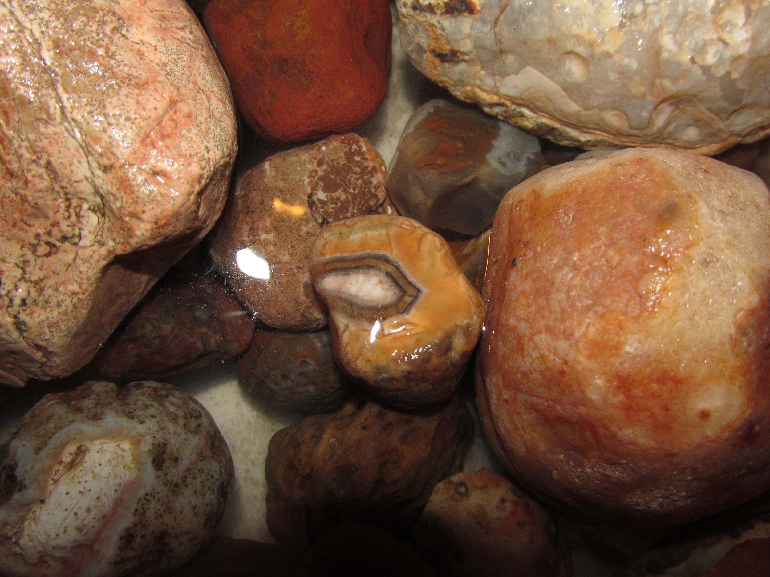 2012-09-04 agates 014.JPG