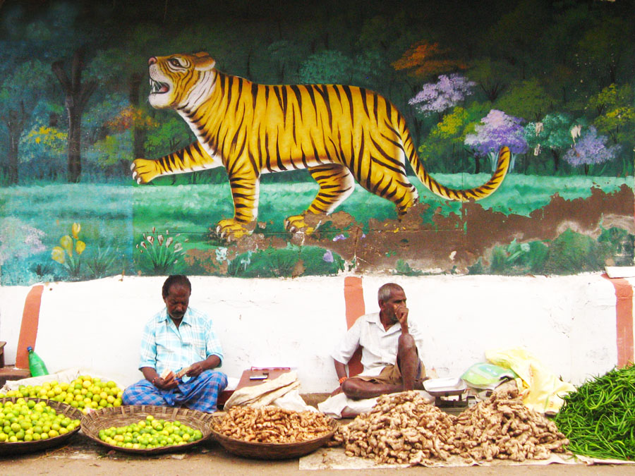 Vegetable vendors in Mysore under Tiger mural.jpg