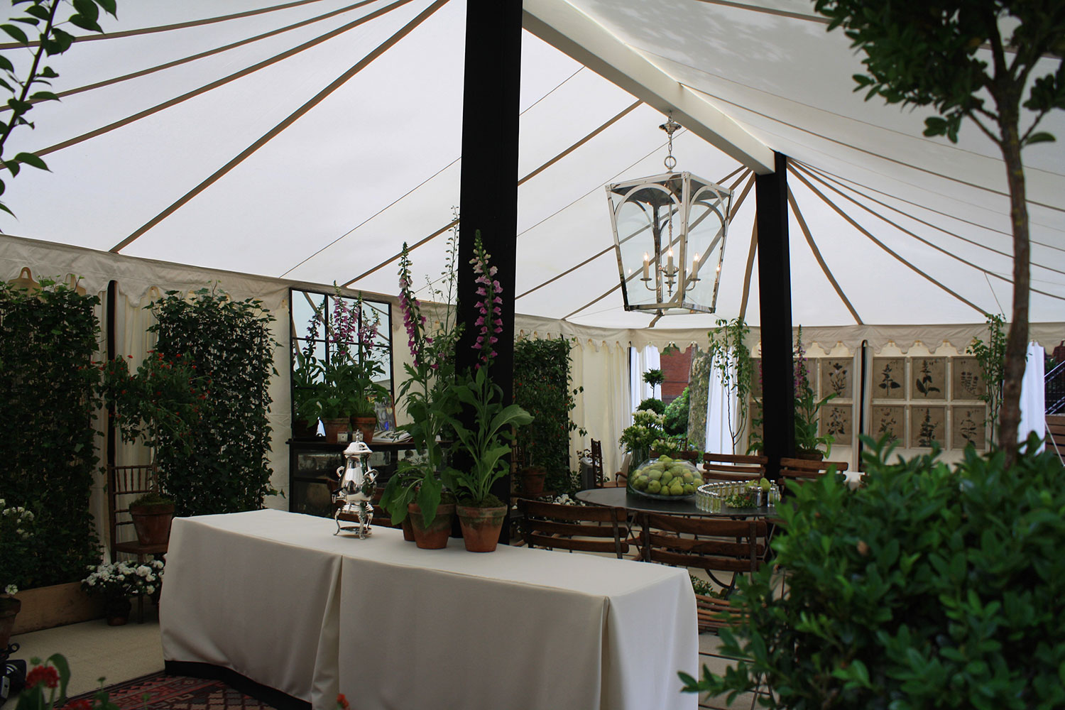 raj-tents-black-and-white-inside-maharaja.jpg