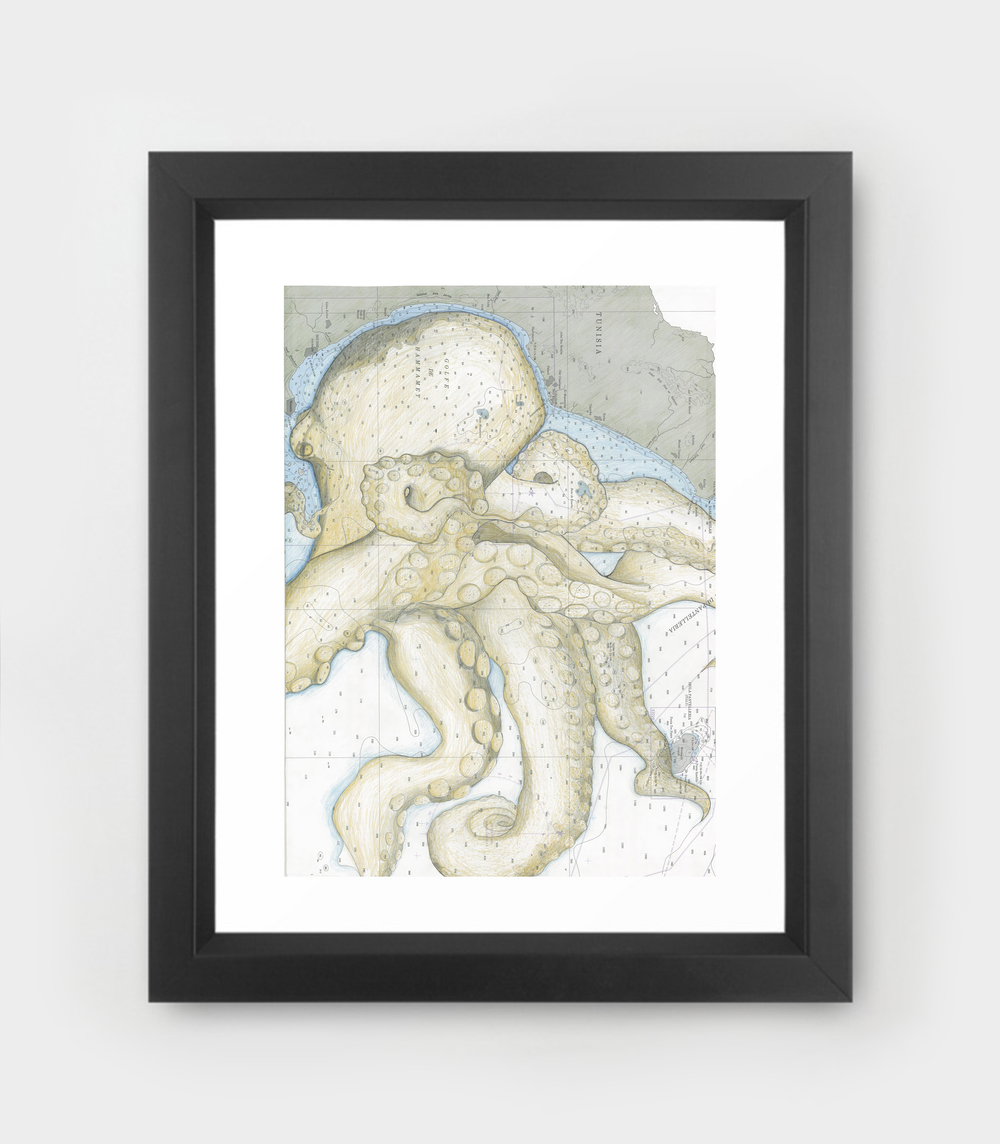 Ocean Chart Octopus