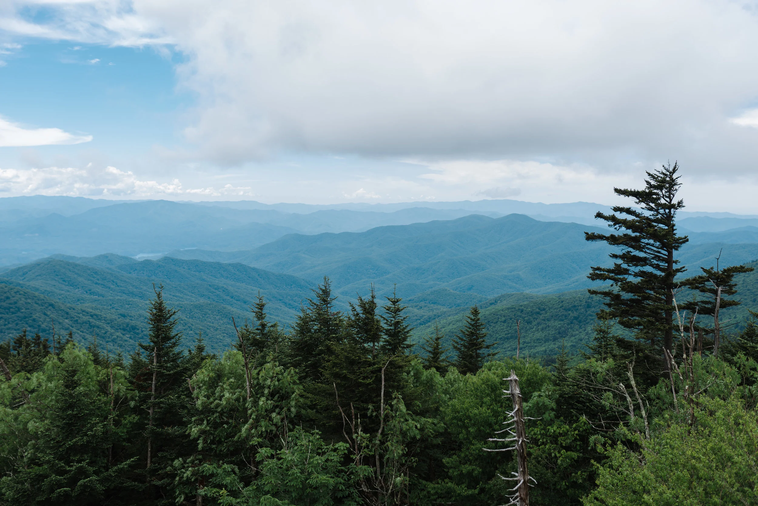 DSC_1554.jpg