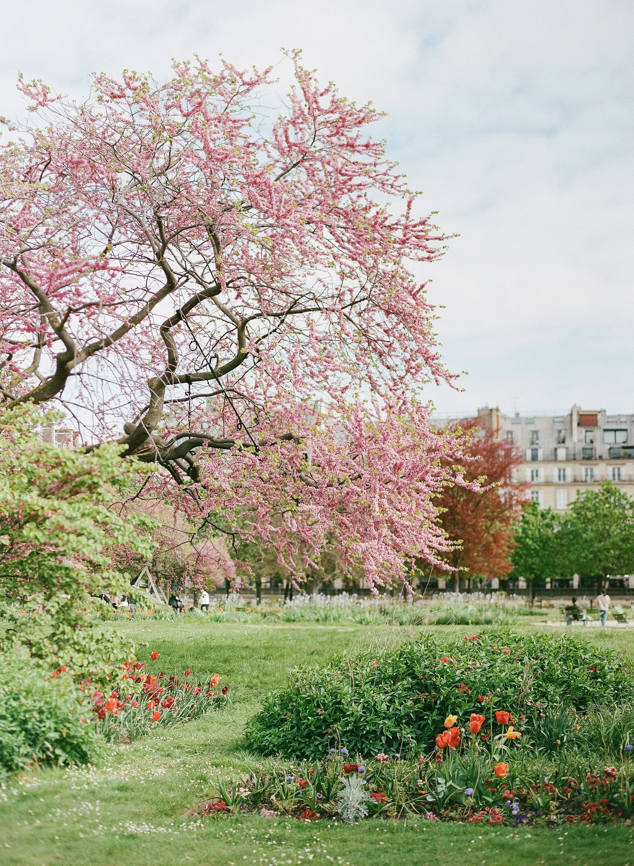 Kristen Bowen Photography, Photographers day in Paris, Springtime in Paris