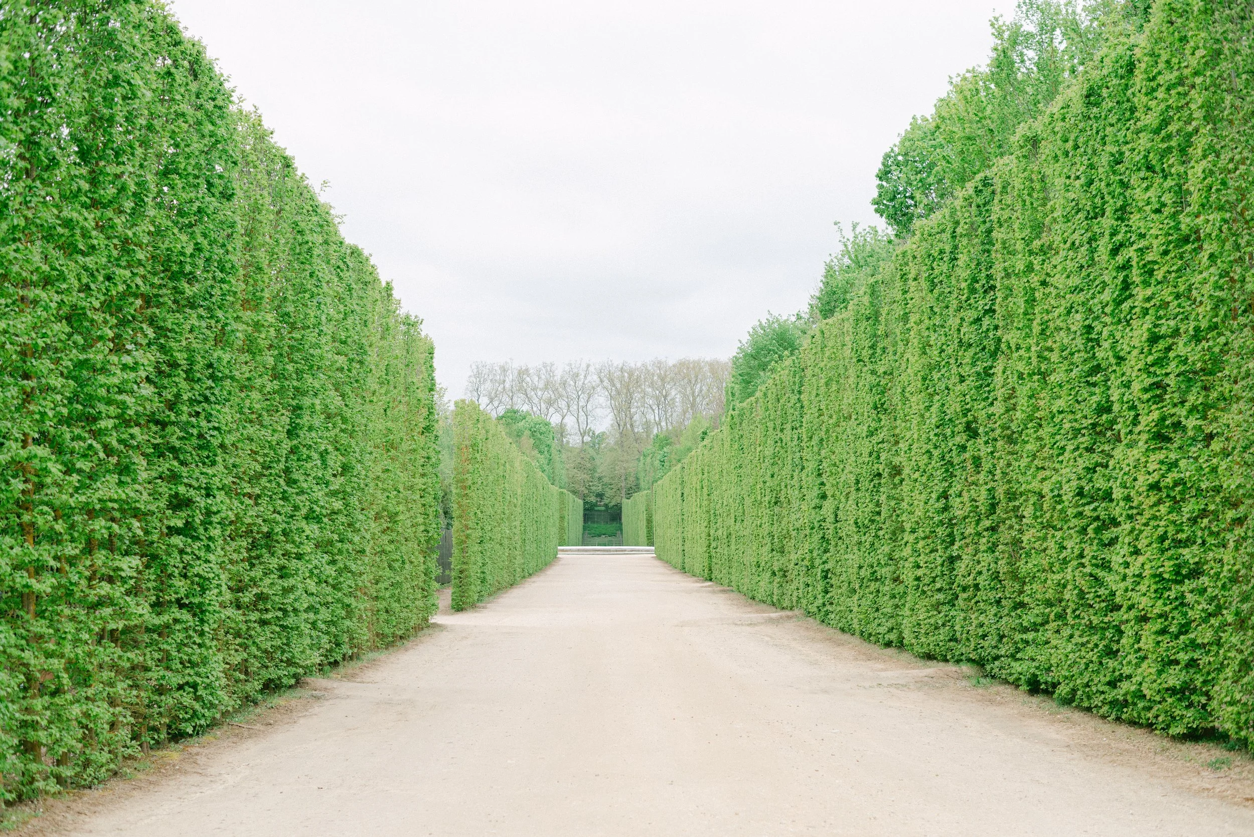 Kristen Bowen Photography, Indianapolis Wedding Photographer, Destination Photographer, Versailles Mansion