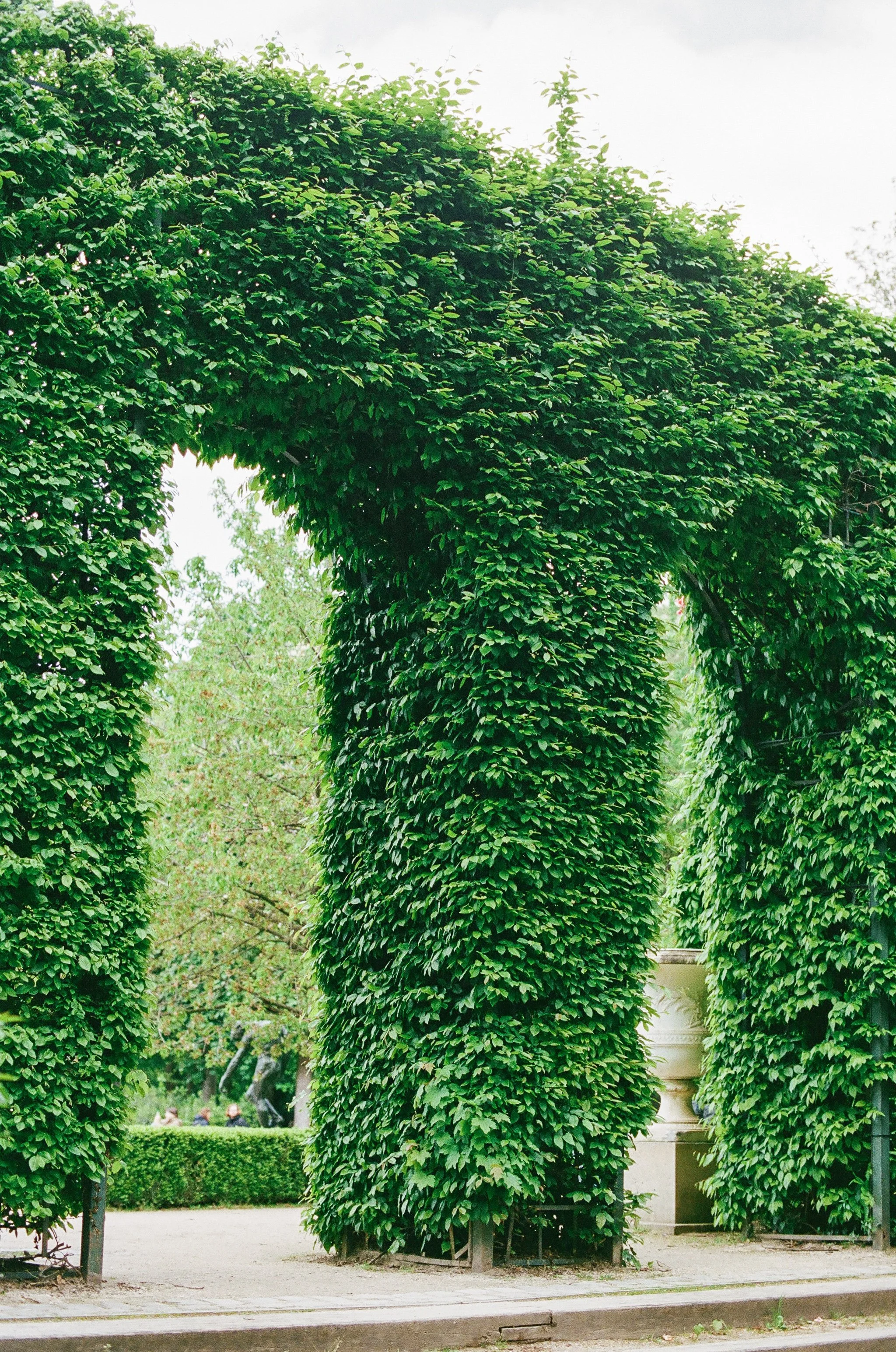 Kristen Bowen Photography, Photographers day in Paris, Springtime in Paris, Muse Rodin