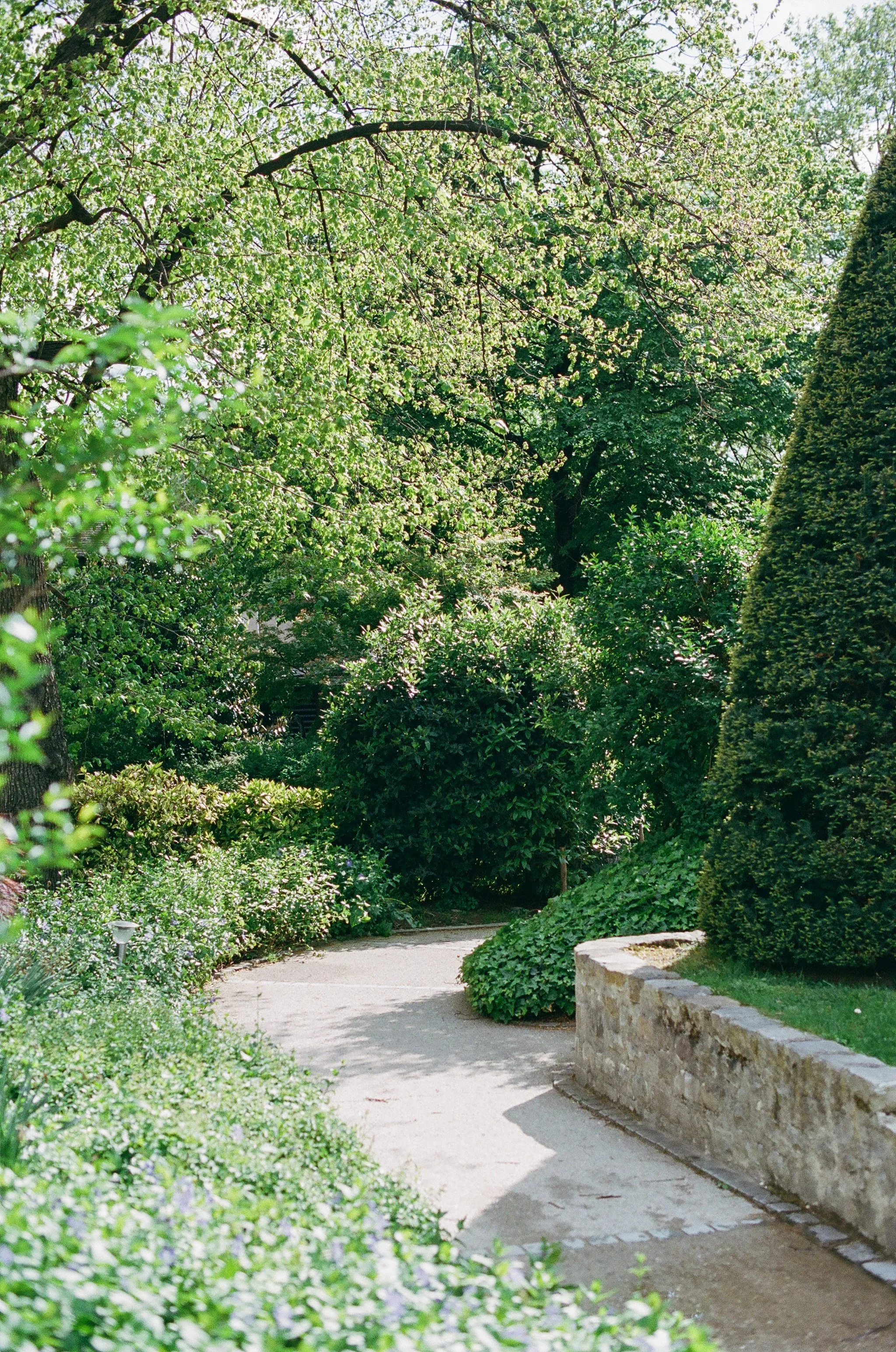 Kristen Bowen Photography, Photographers day in Paris, Springtime in Paris, Muse Rodin