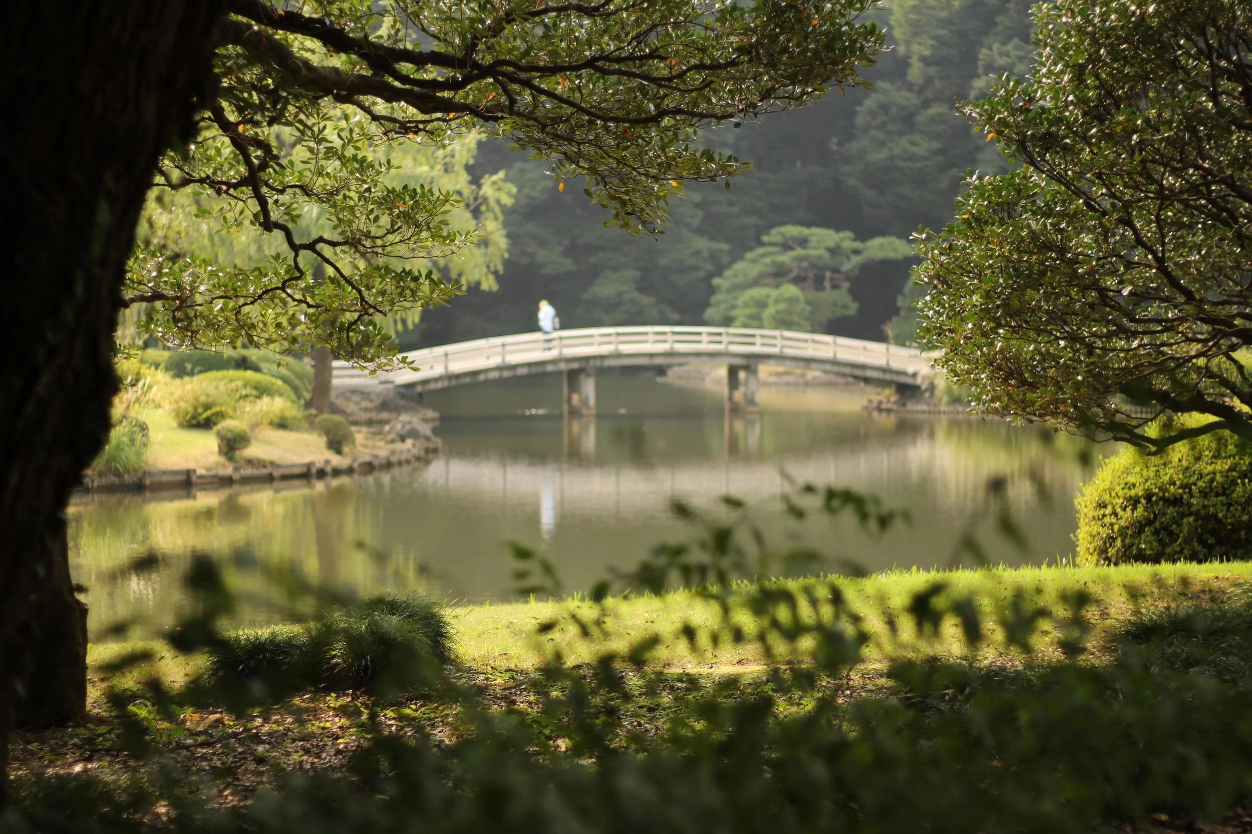 Bridge