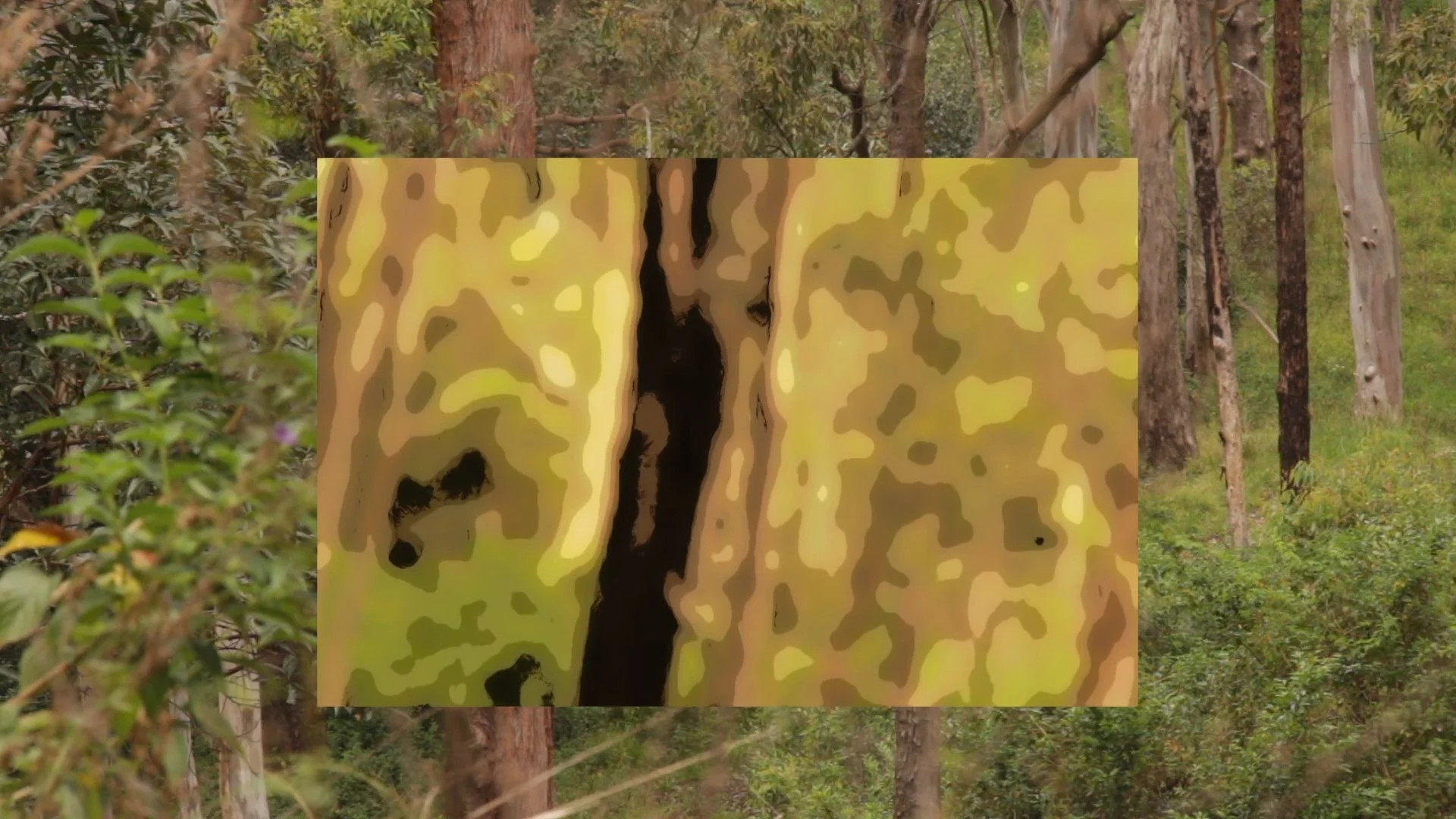 Has Joined The Room (video still)