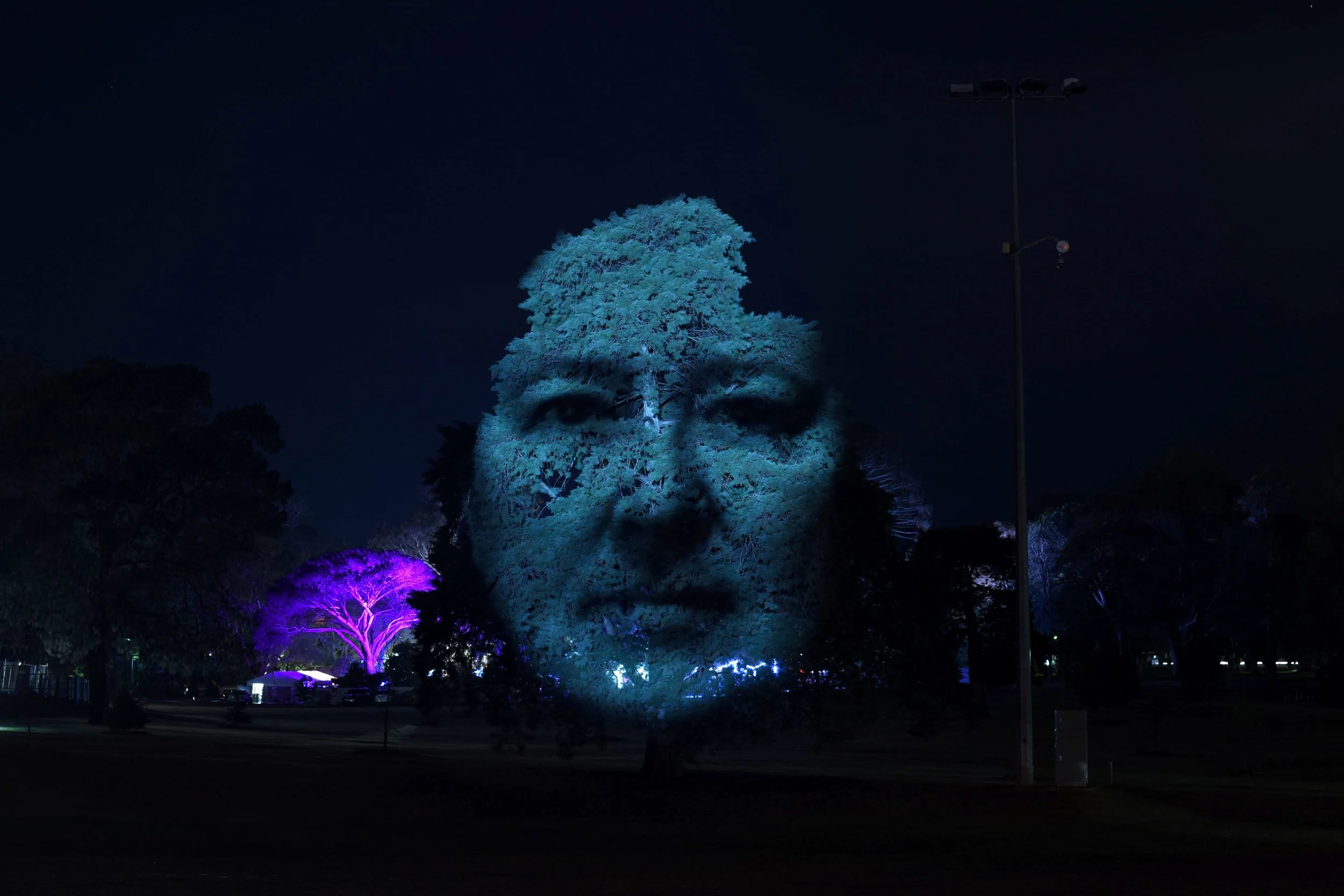  The face of Louise Noble, founder of the Mulberry Project is projected on a tree in the iconic Queens Park, Toowoomba at LIT Festival 2018. Part of Australian artist Craig Walsh’s ongoing ‘Monuments’ series, the work featured the faces of two of Too