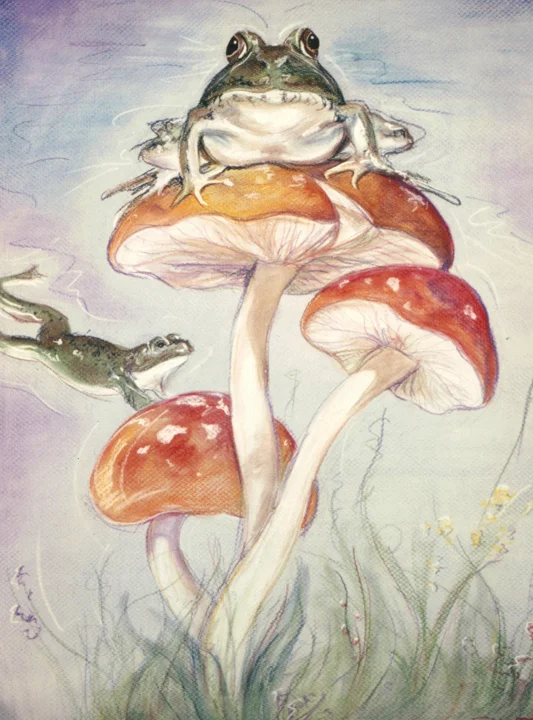 + FROGGY +